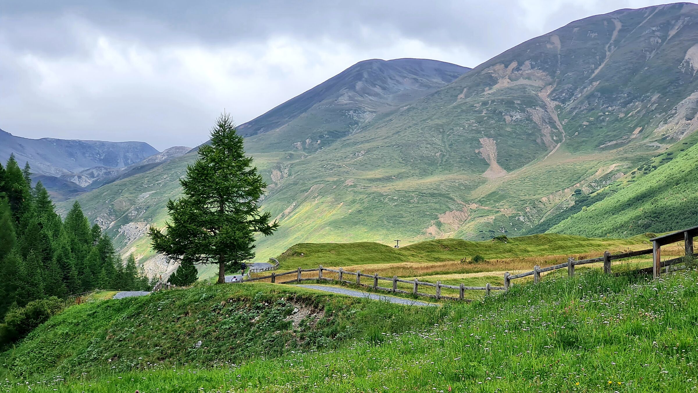Val Federia Livign9