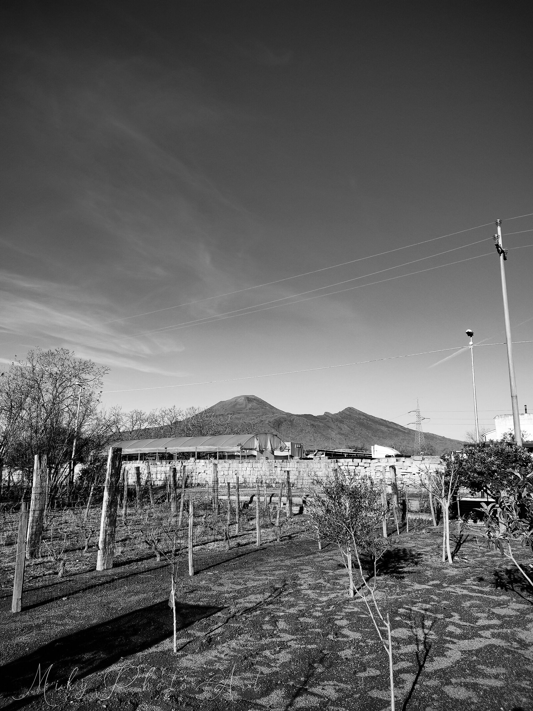 The Masseria
