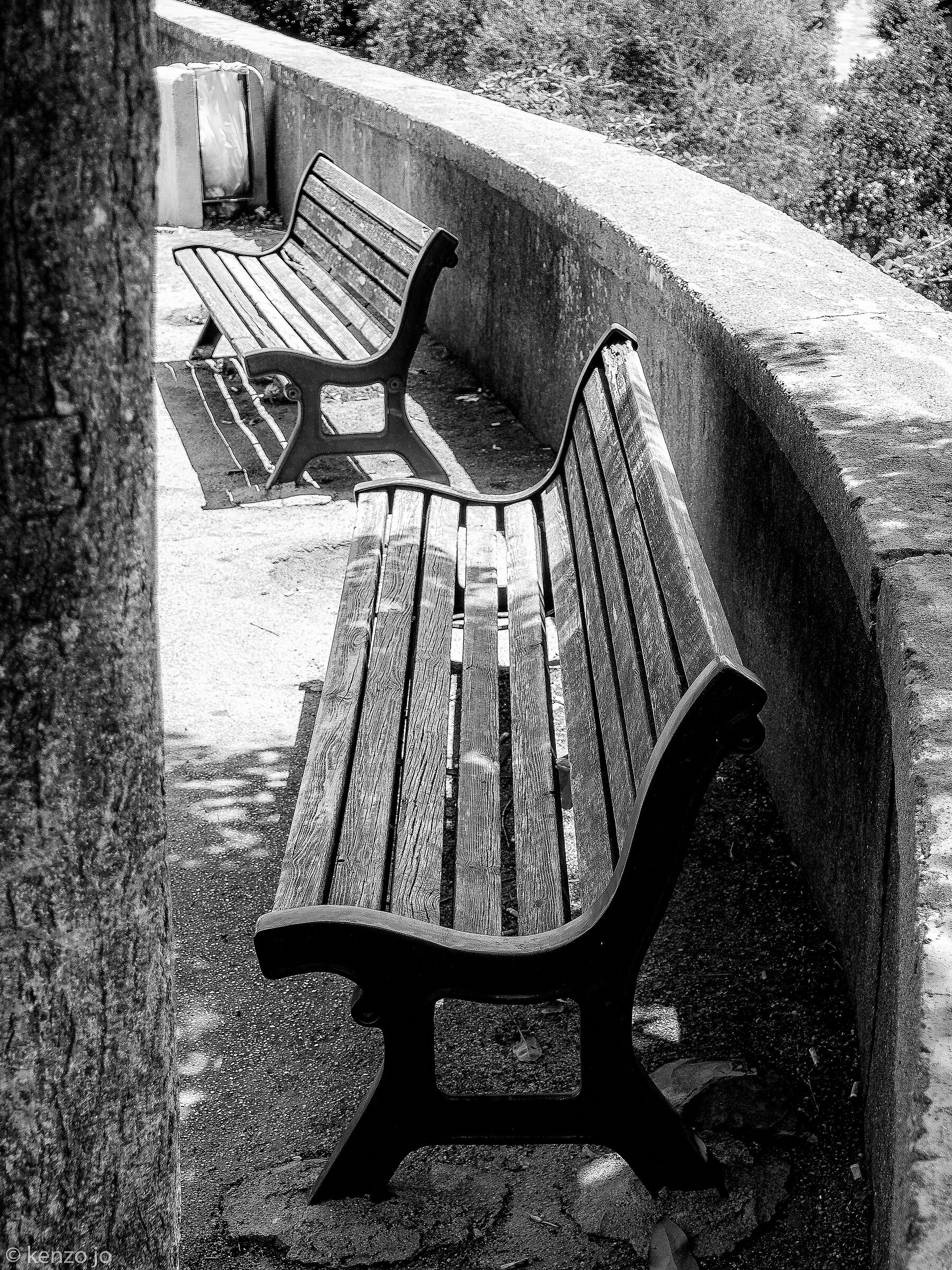 14:00 38 degrees: life absences