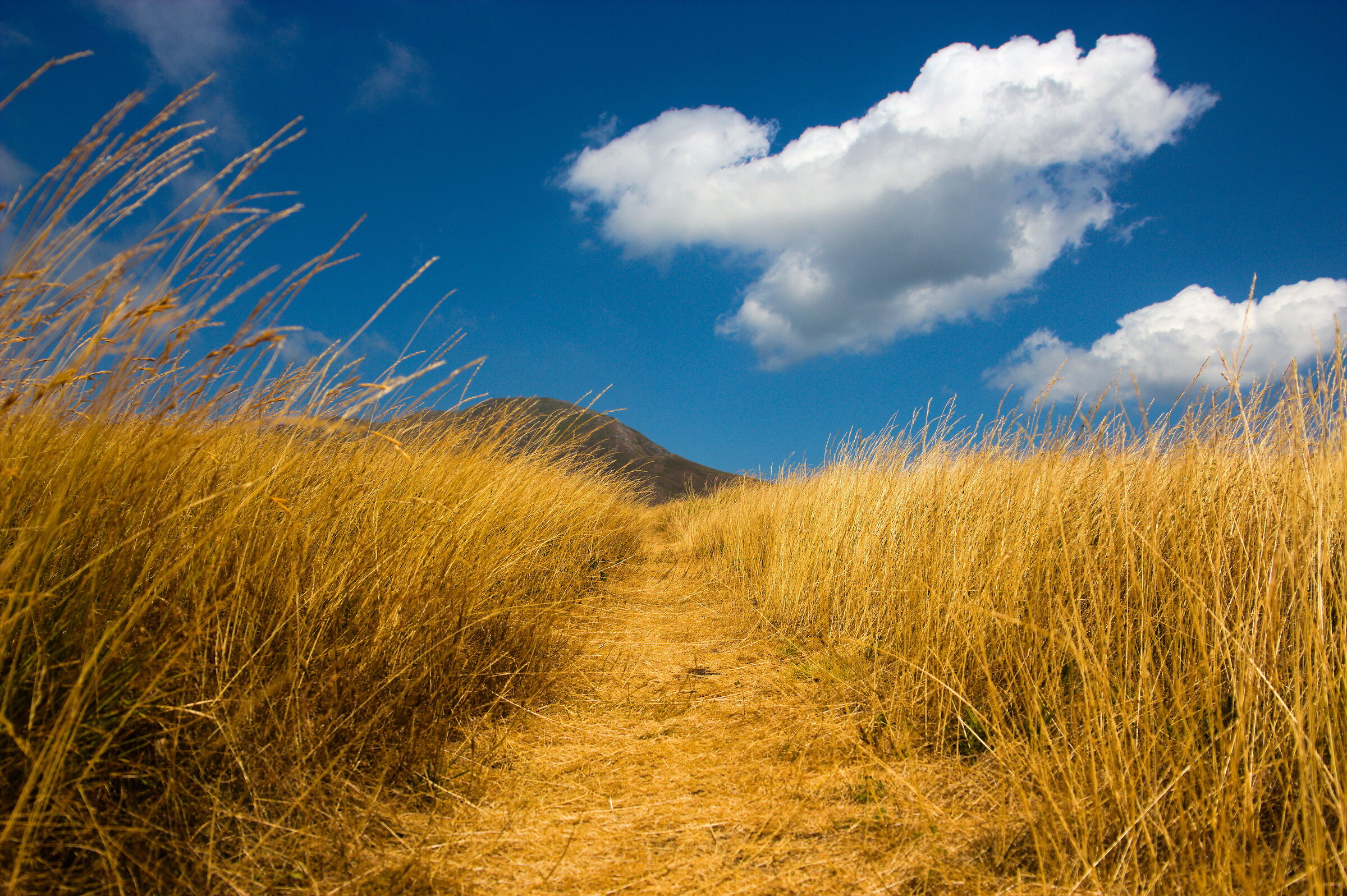 Sentiero sulla cima Zuccalone
