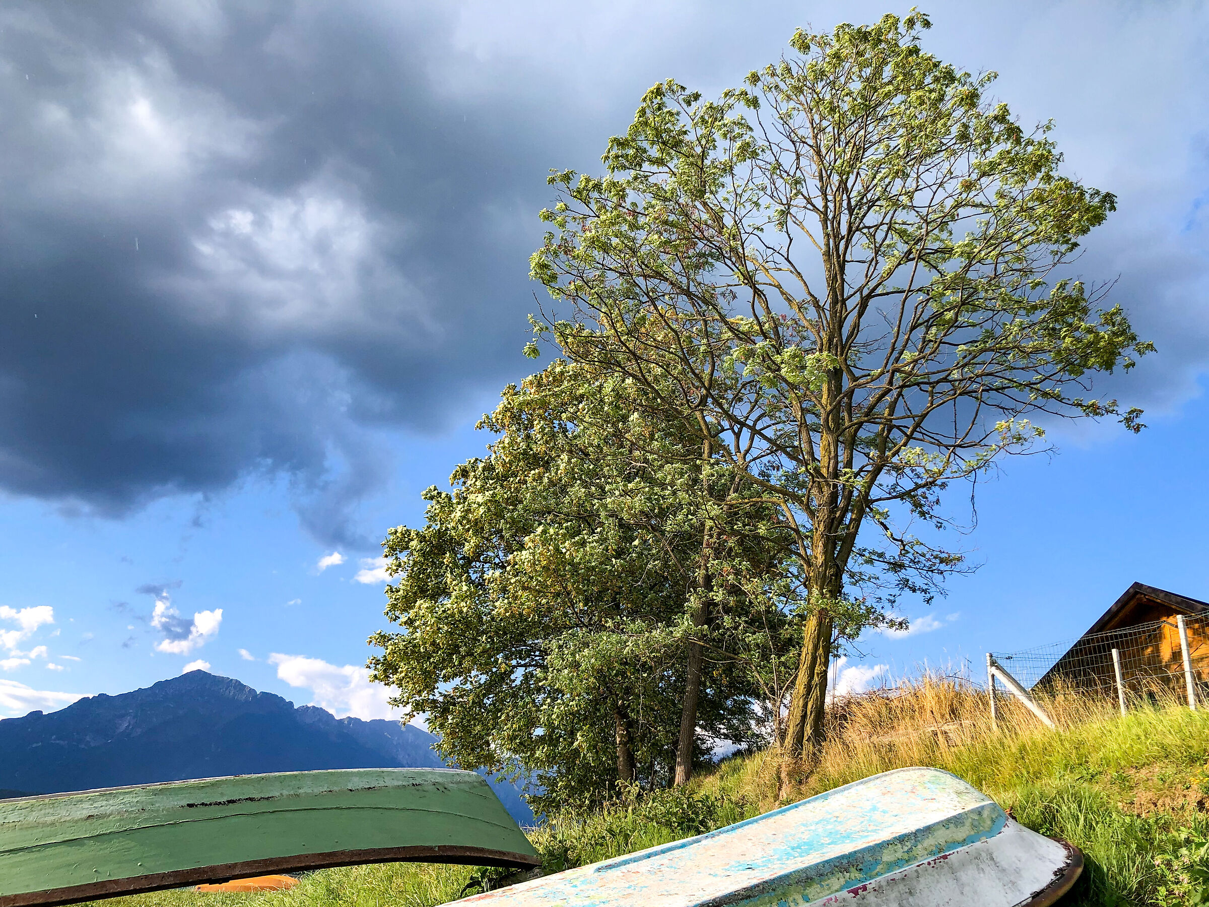 Lake 1