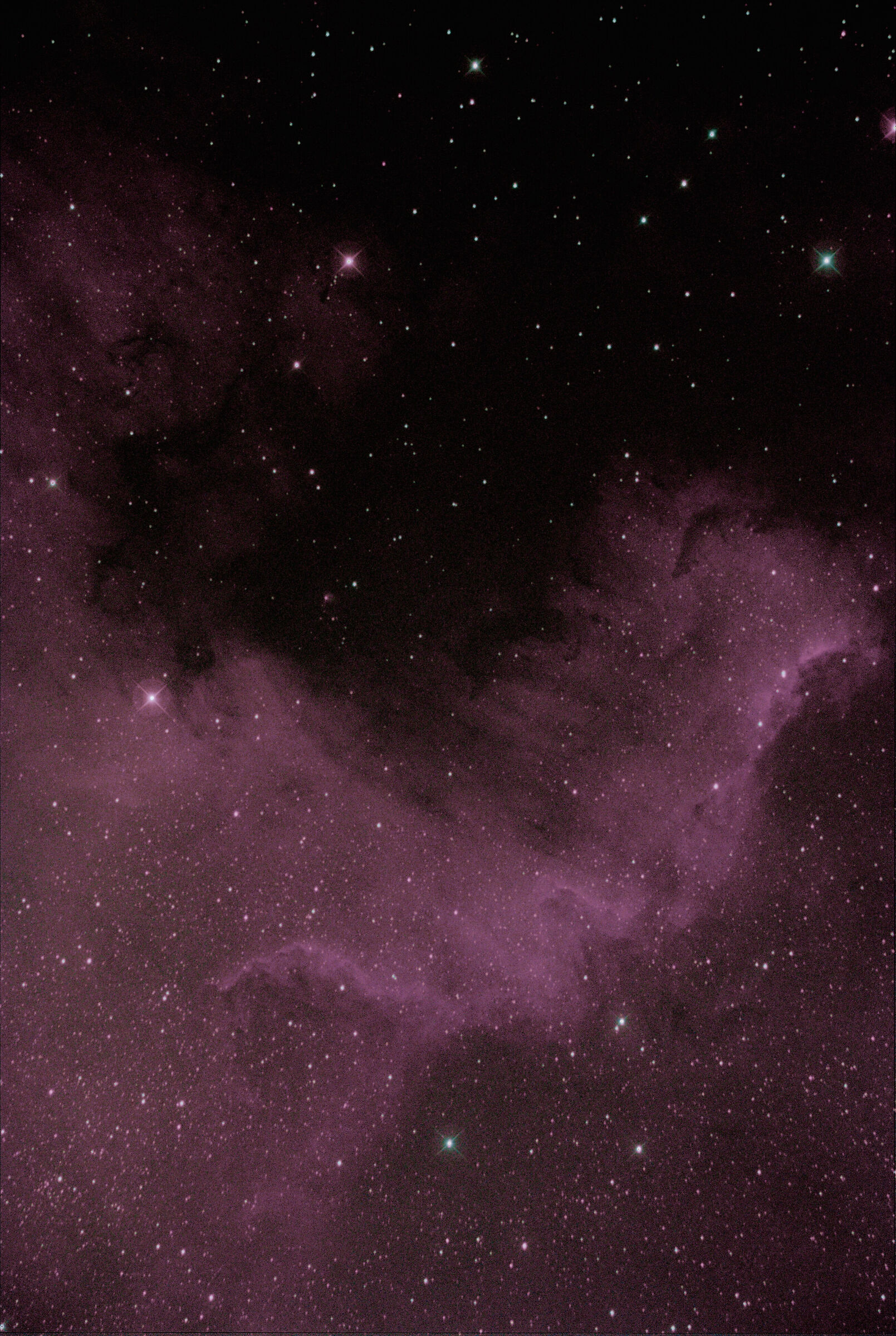 Portion of the North American Nebula in the Swan NGC7000