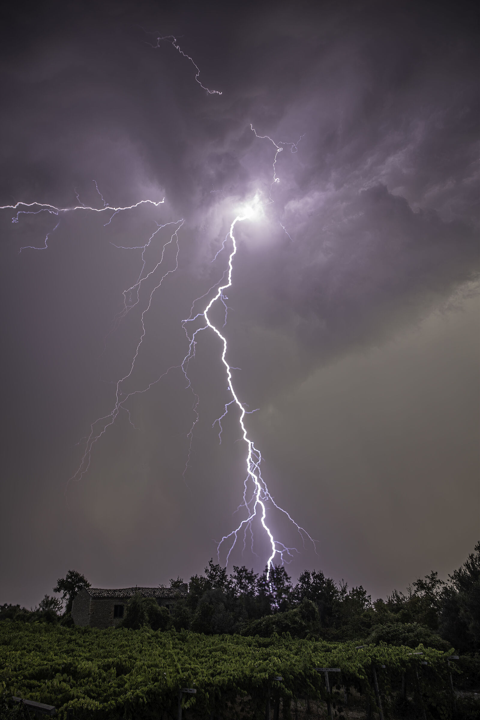 Fulmineo istante....