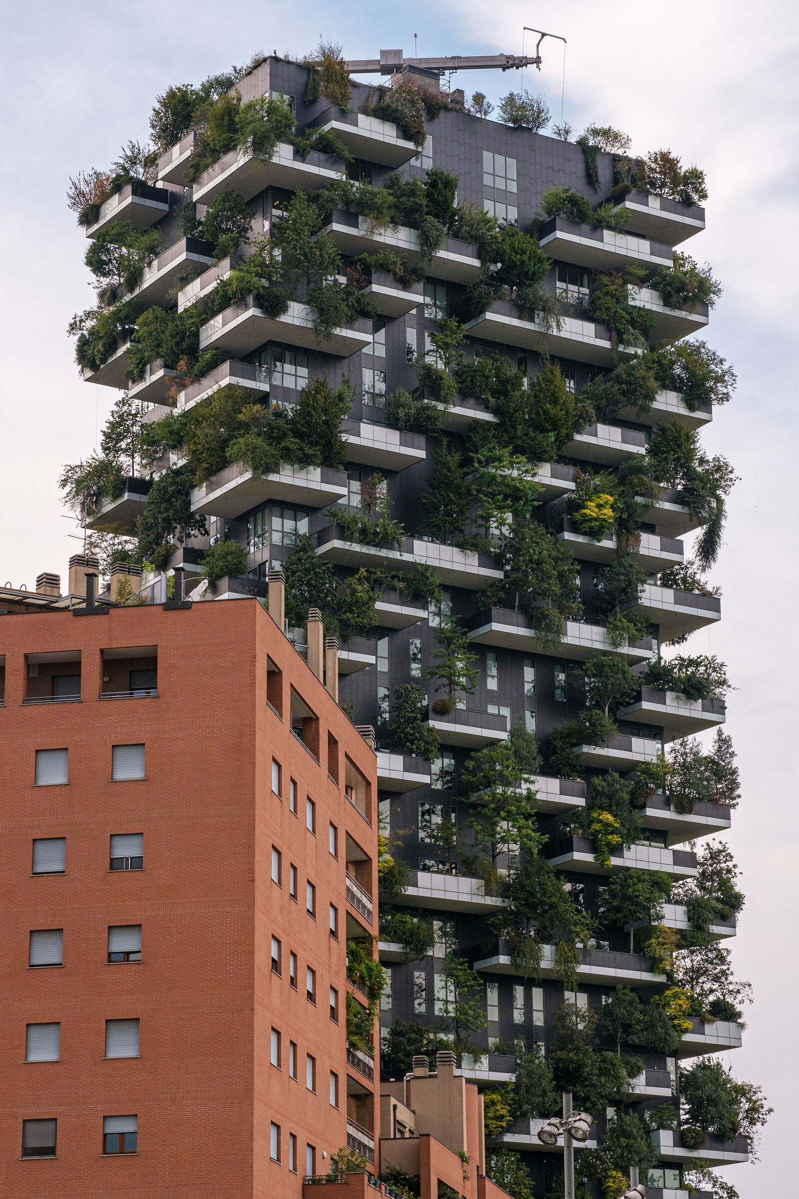 Vertical Forest