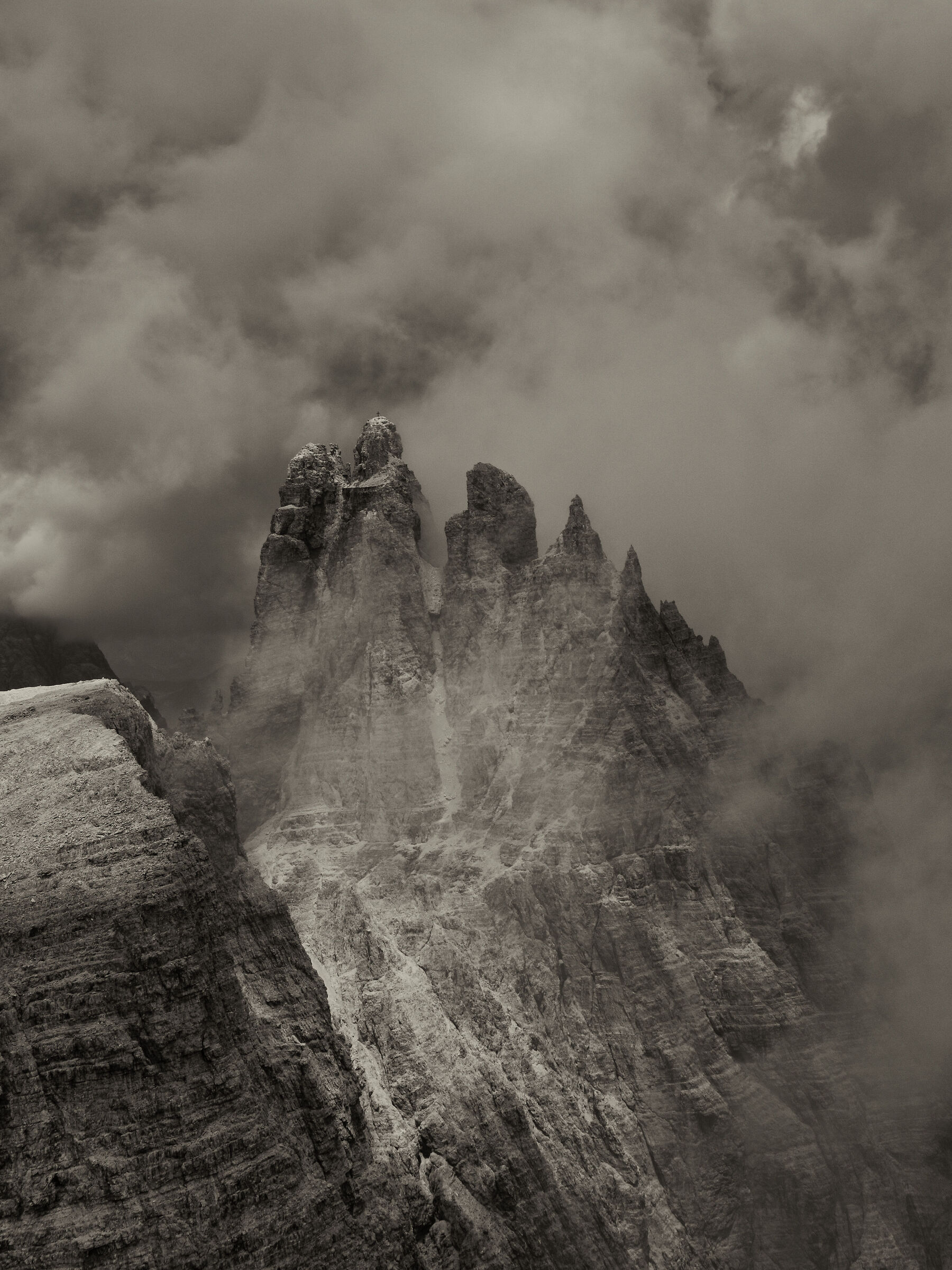 cima undici