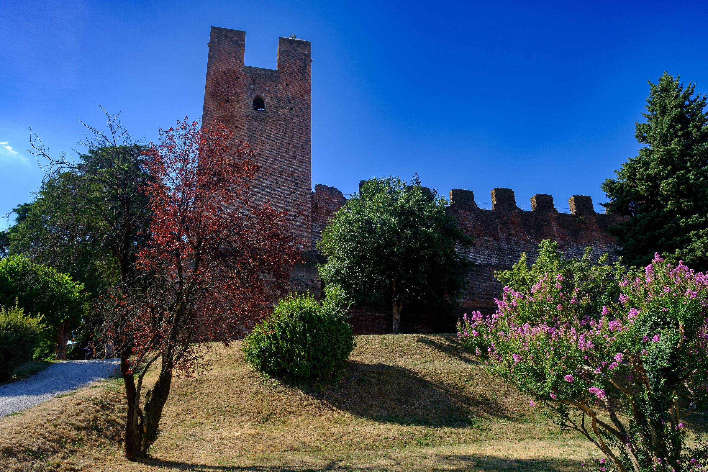 Castelfranco Veneto