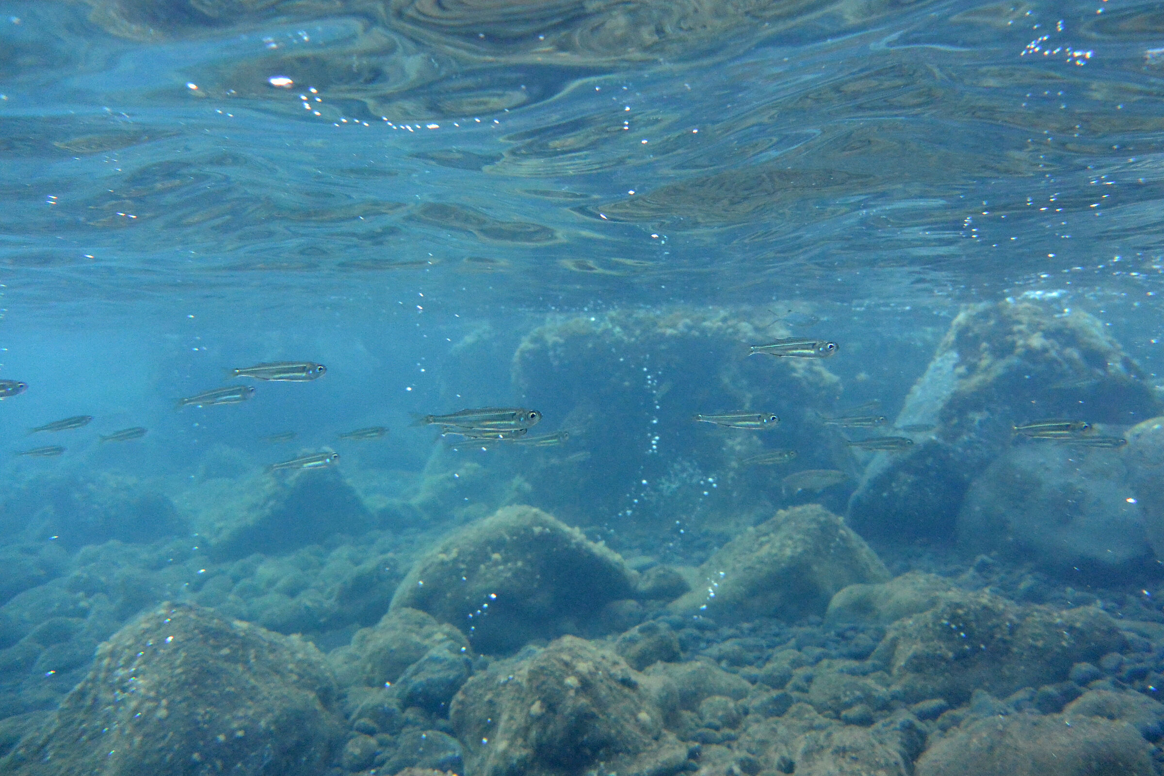 Pesciolini to Vulcano