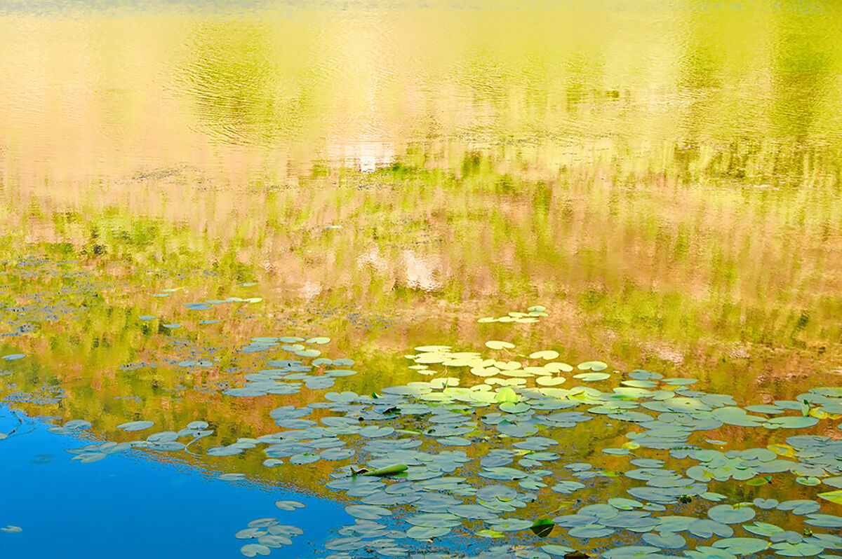 Riflessioni di mezza estate