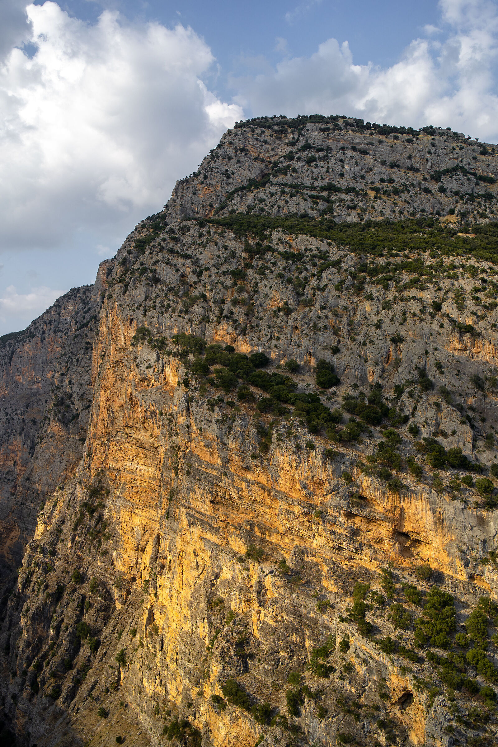Monte d'Or