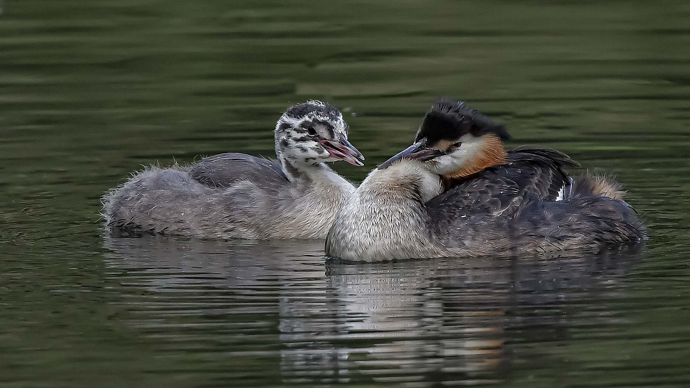 sleep mom looking at me !!