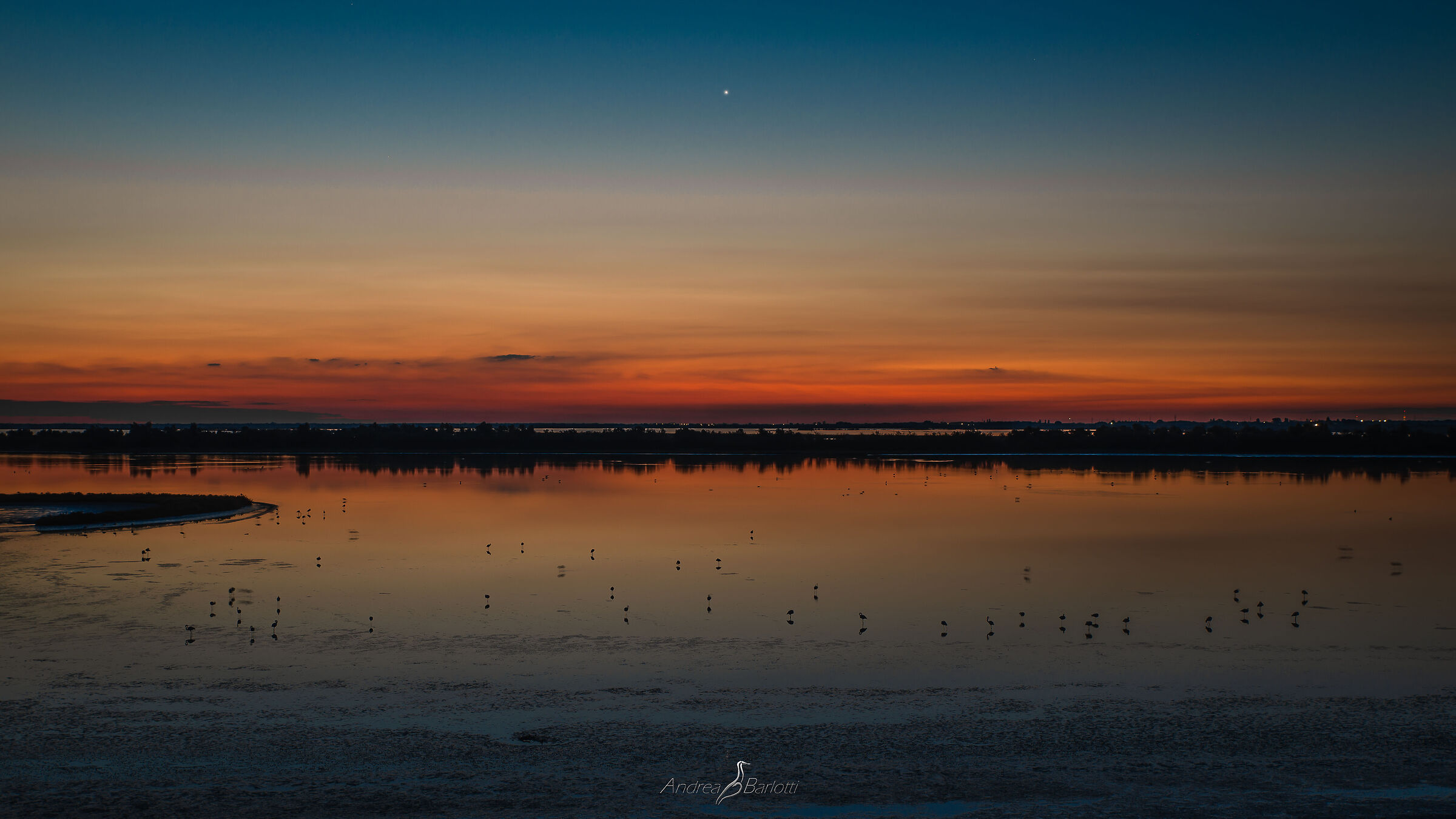 The last star of the morning