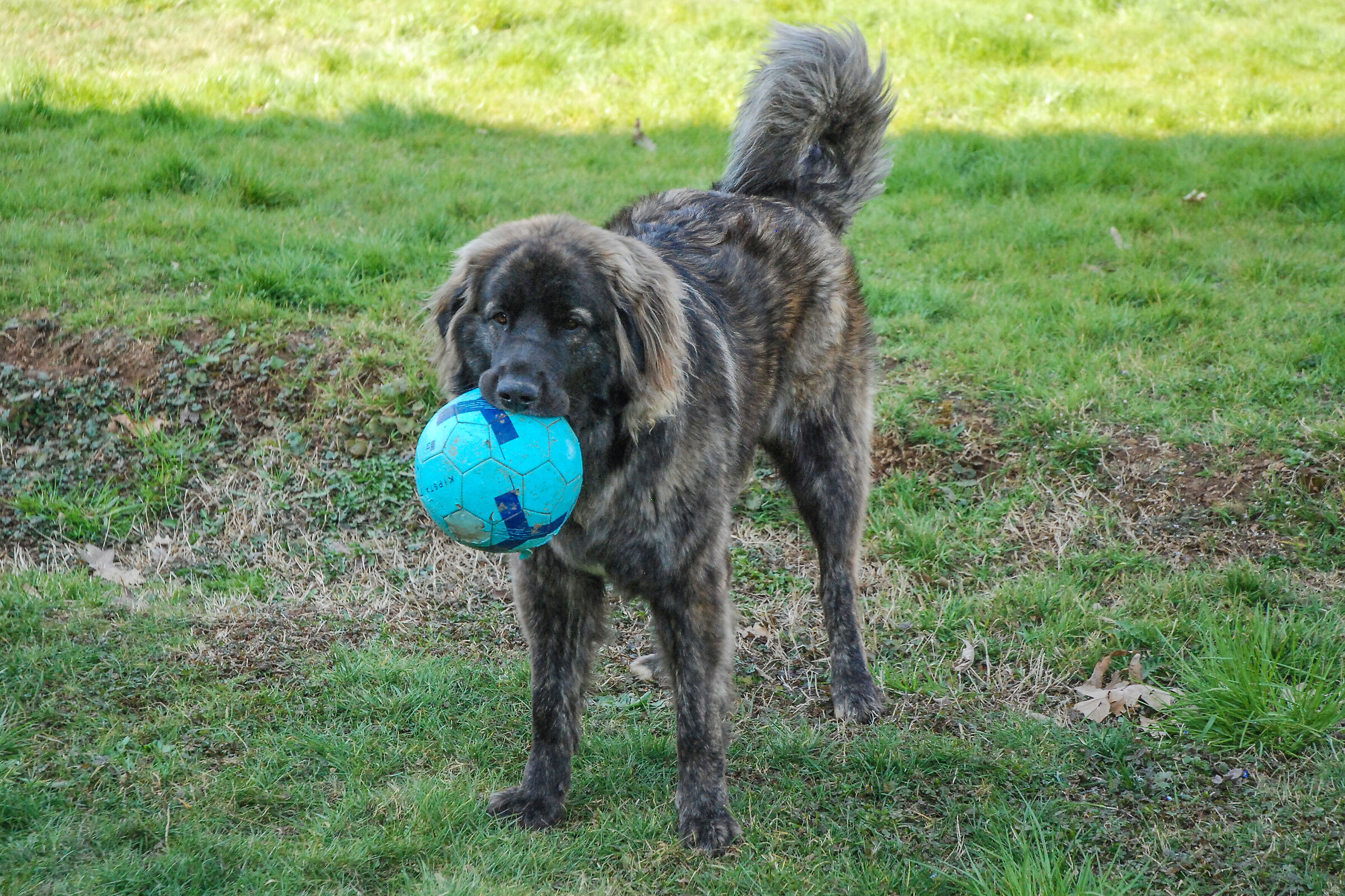 KYRA