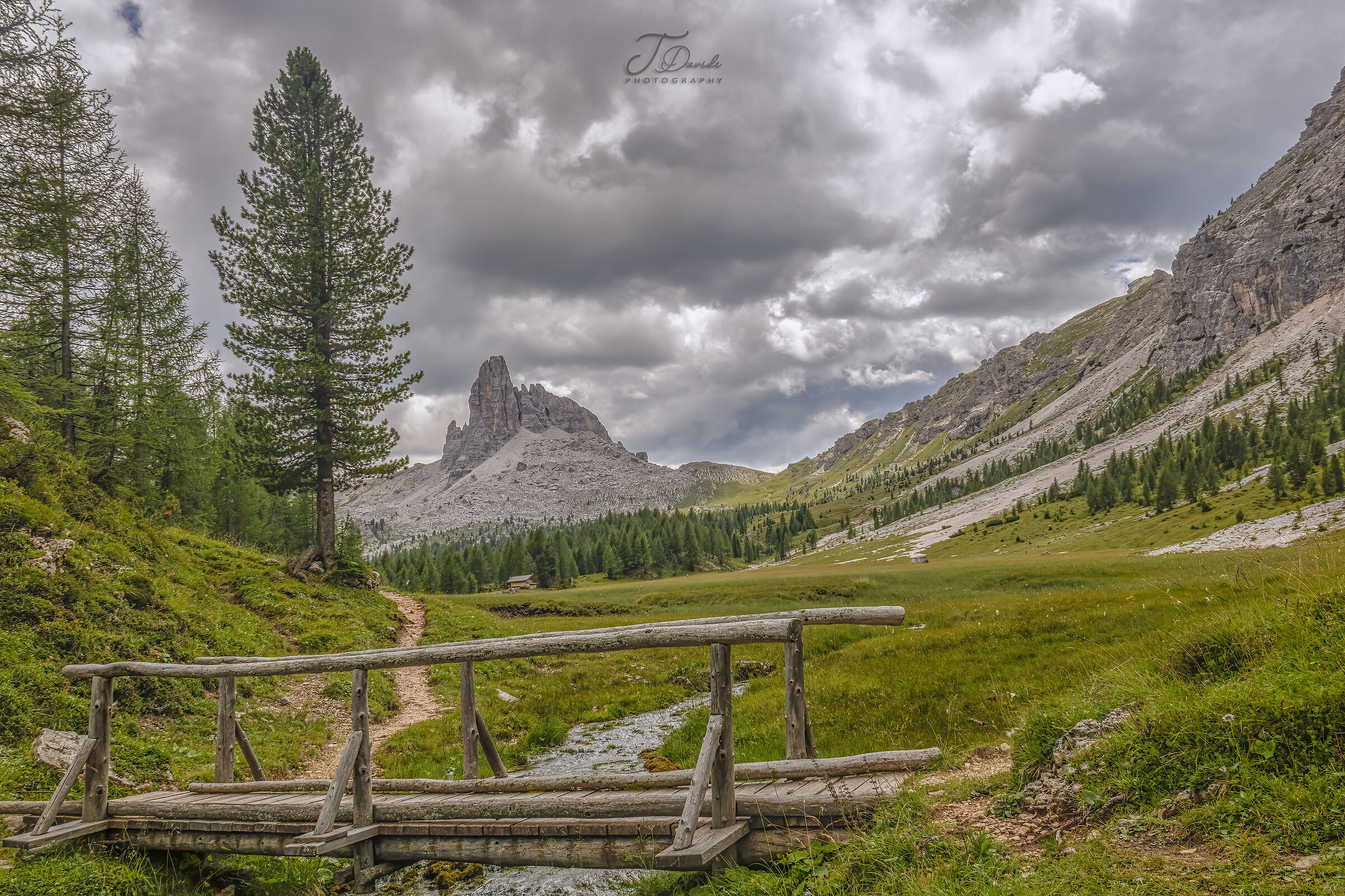 Alpe Federa, in the background the Bec de Mezdì and f...