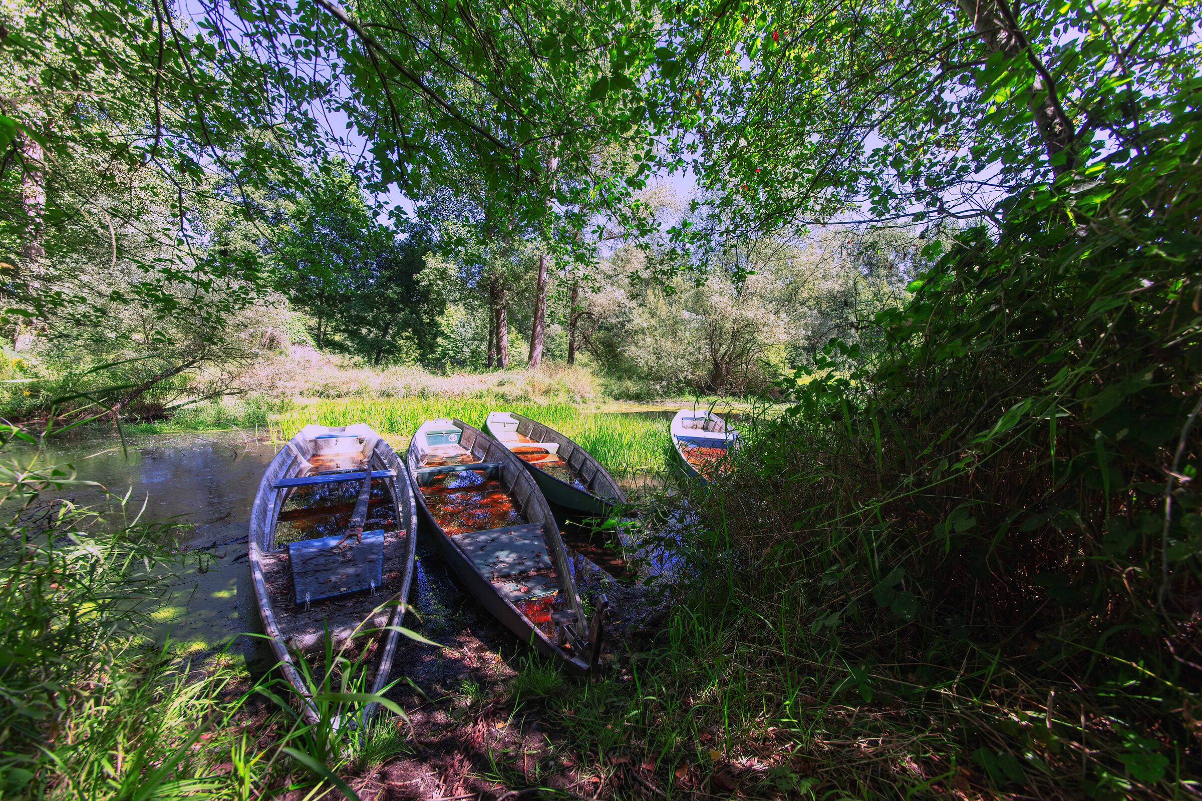 Seduced and abandoned