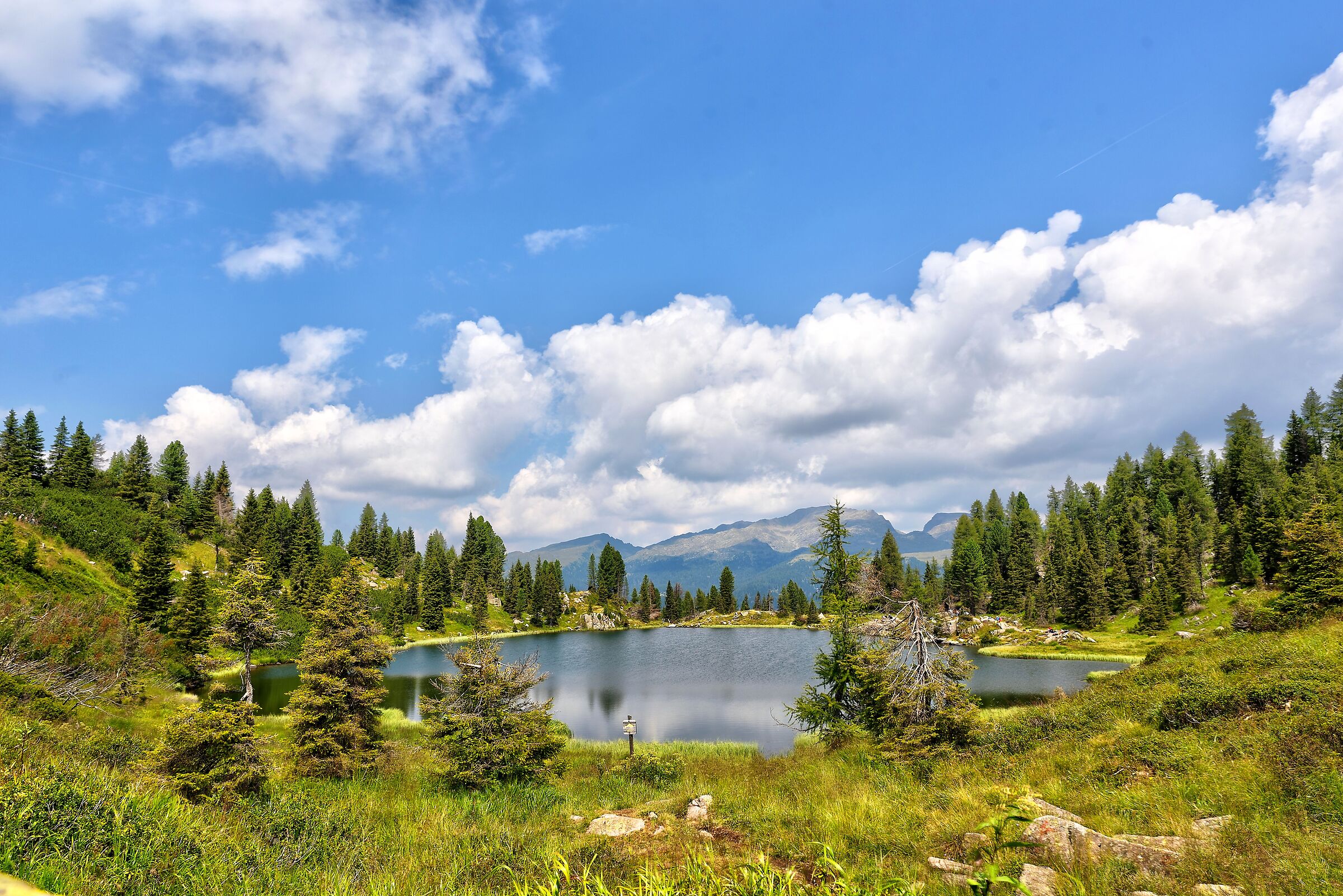 Colbricon Ponds