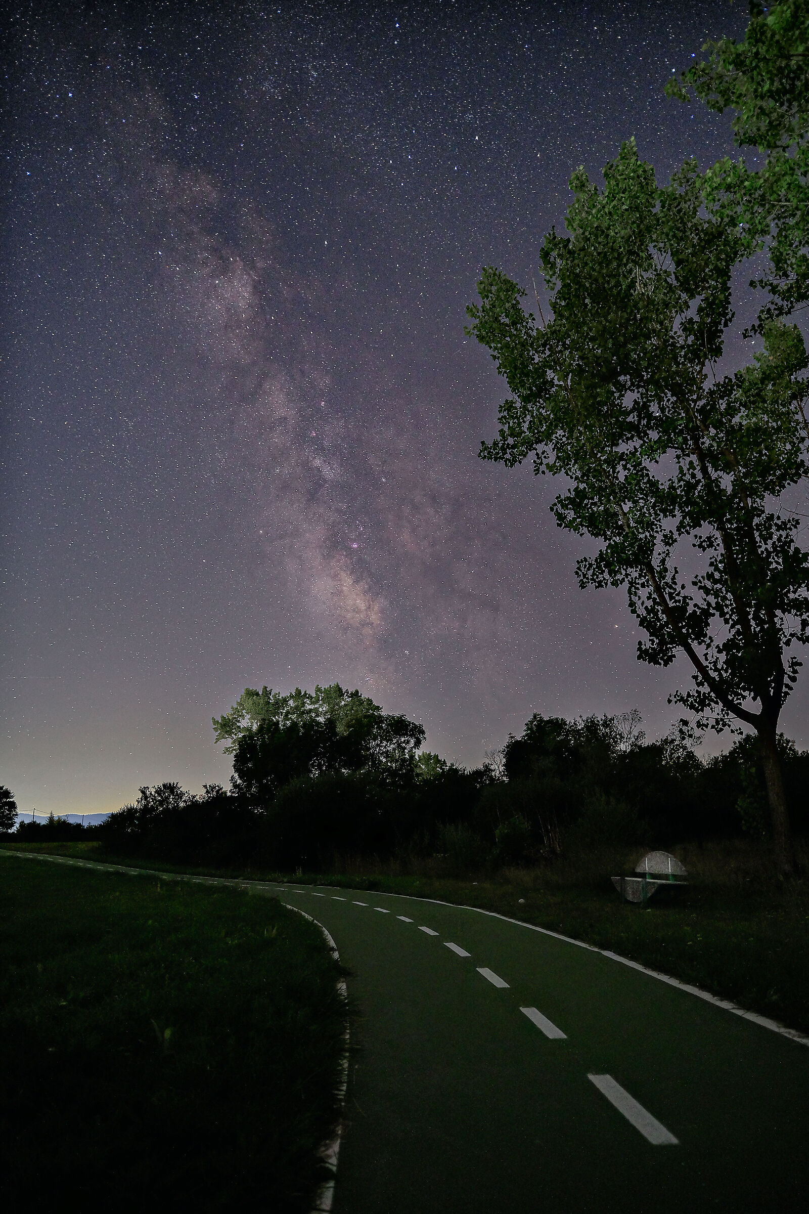 Cycle path with a view