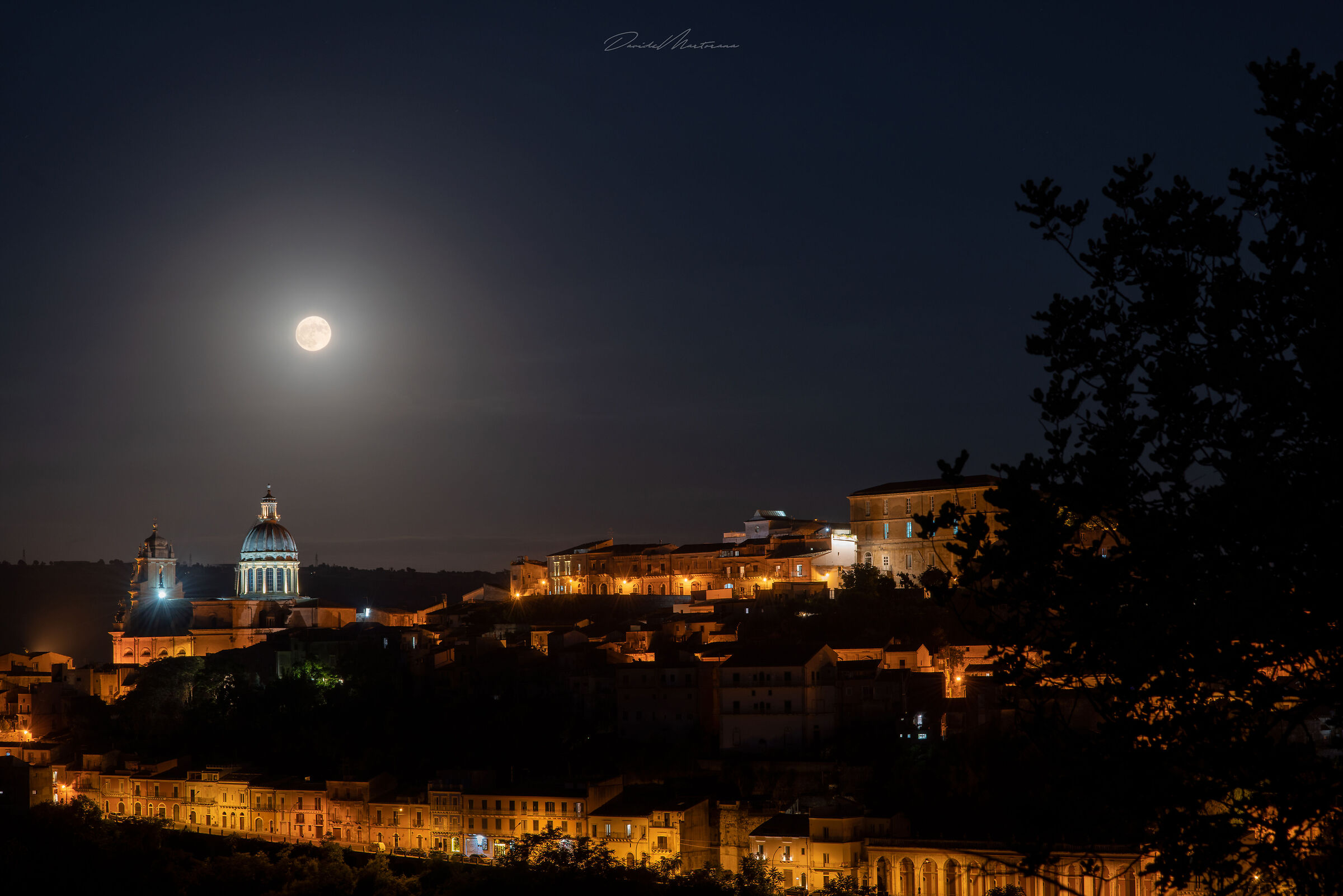 In the moonlight