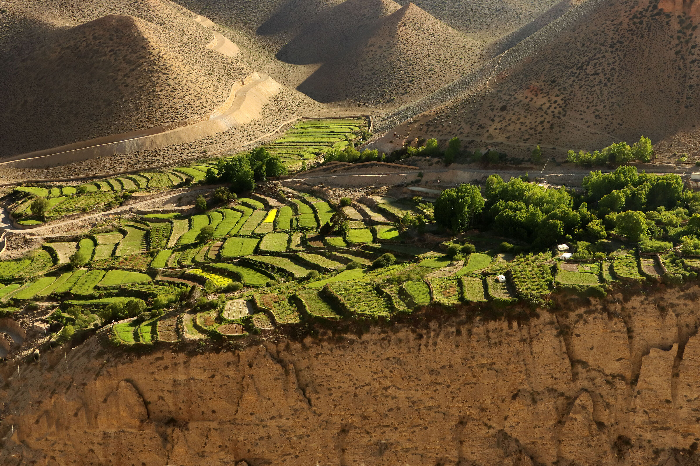 the man and the Mustang