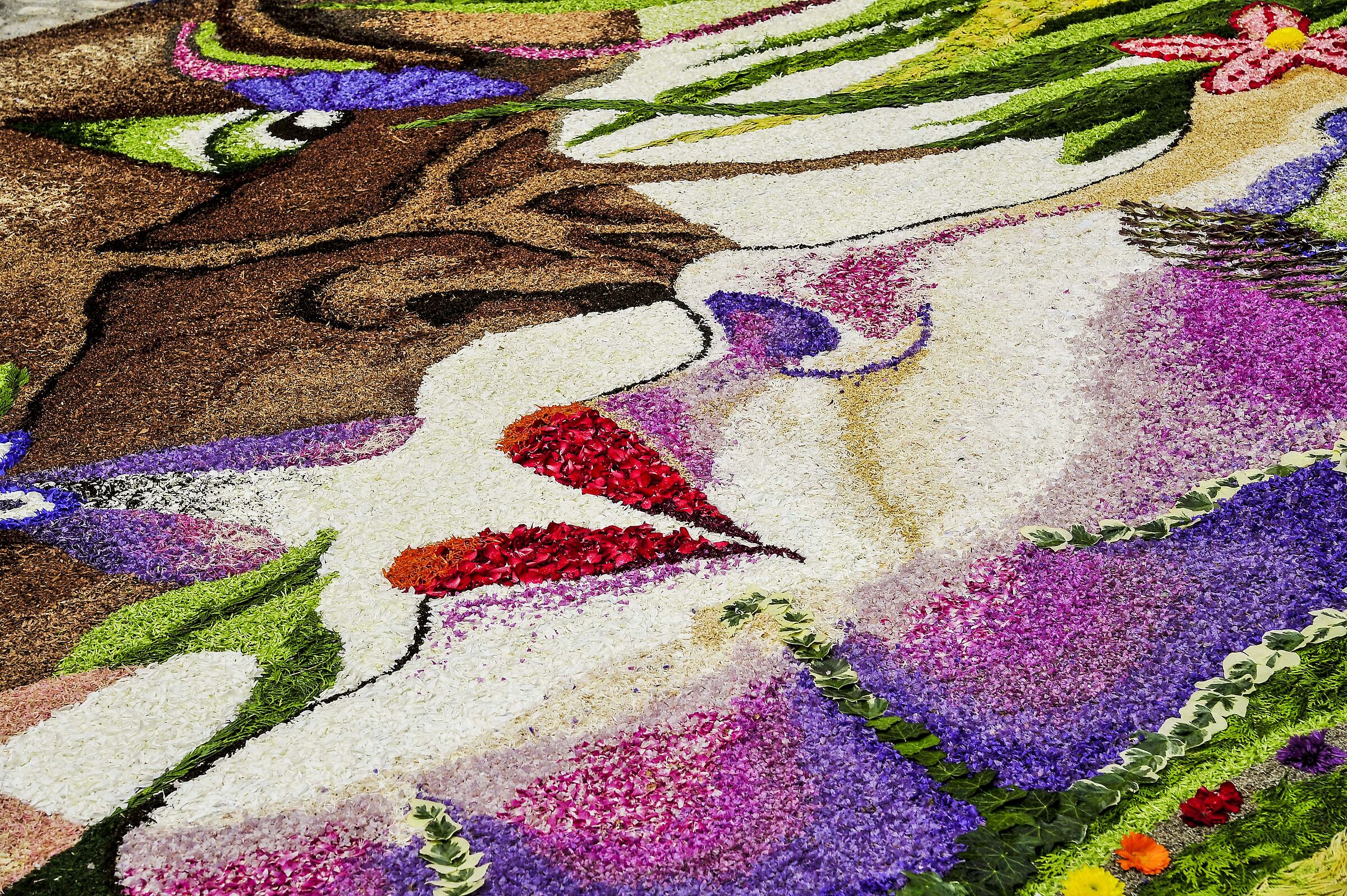 floral display 36