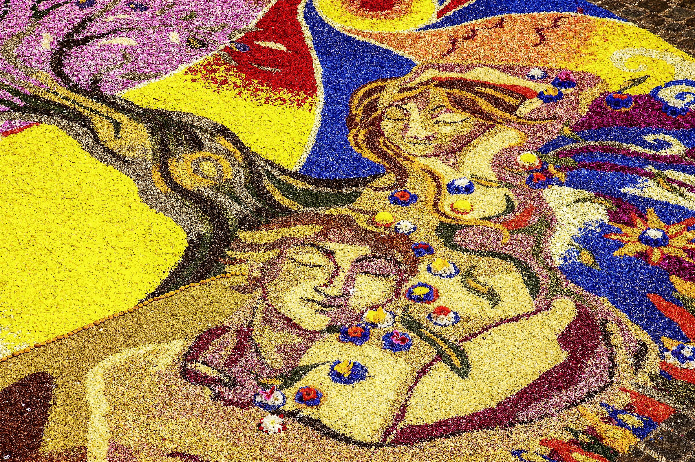 infiorata 41