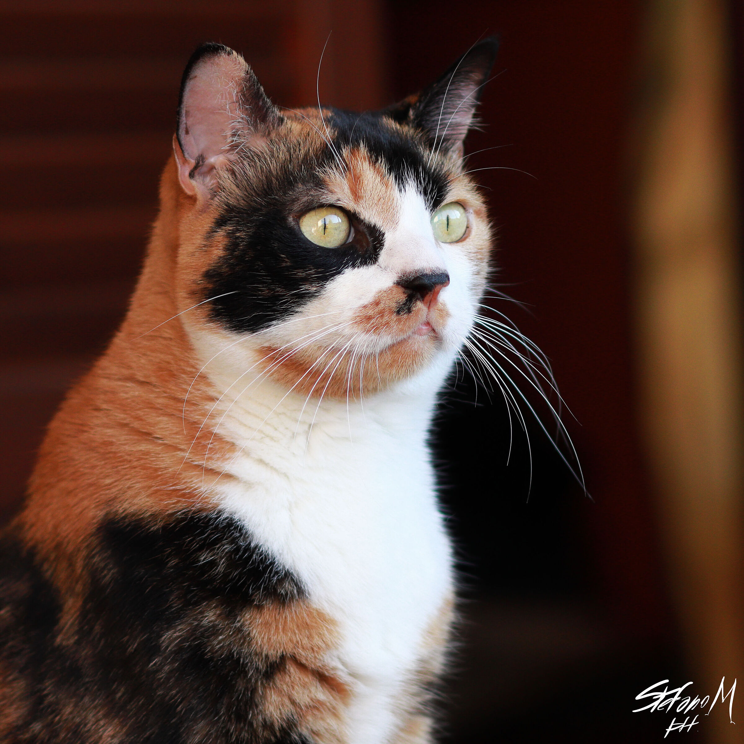 Thoughtful Zoe