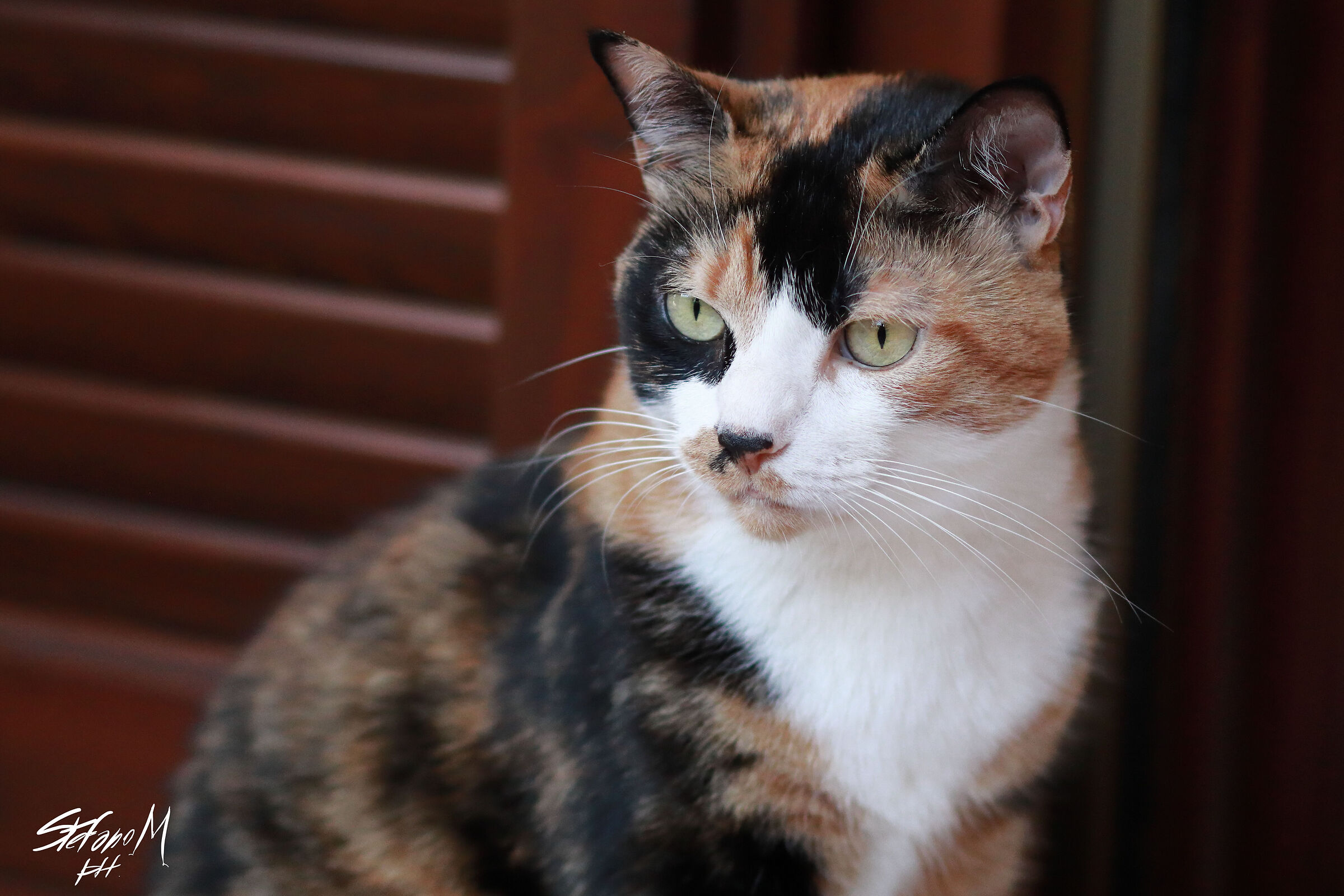 Test at iso 1600