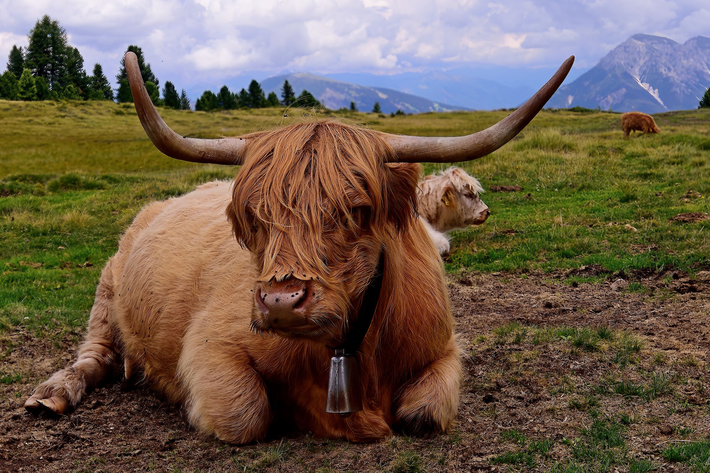 I missed the fly (or rather the flies) on my nose!