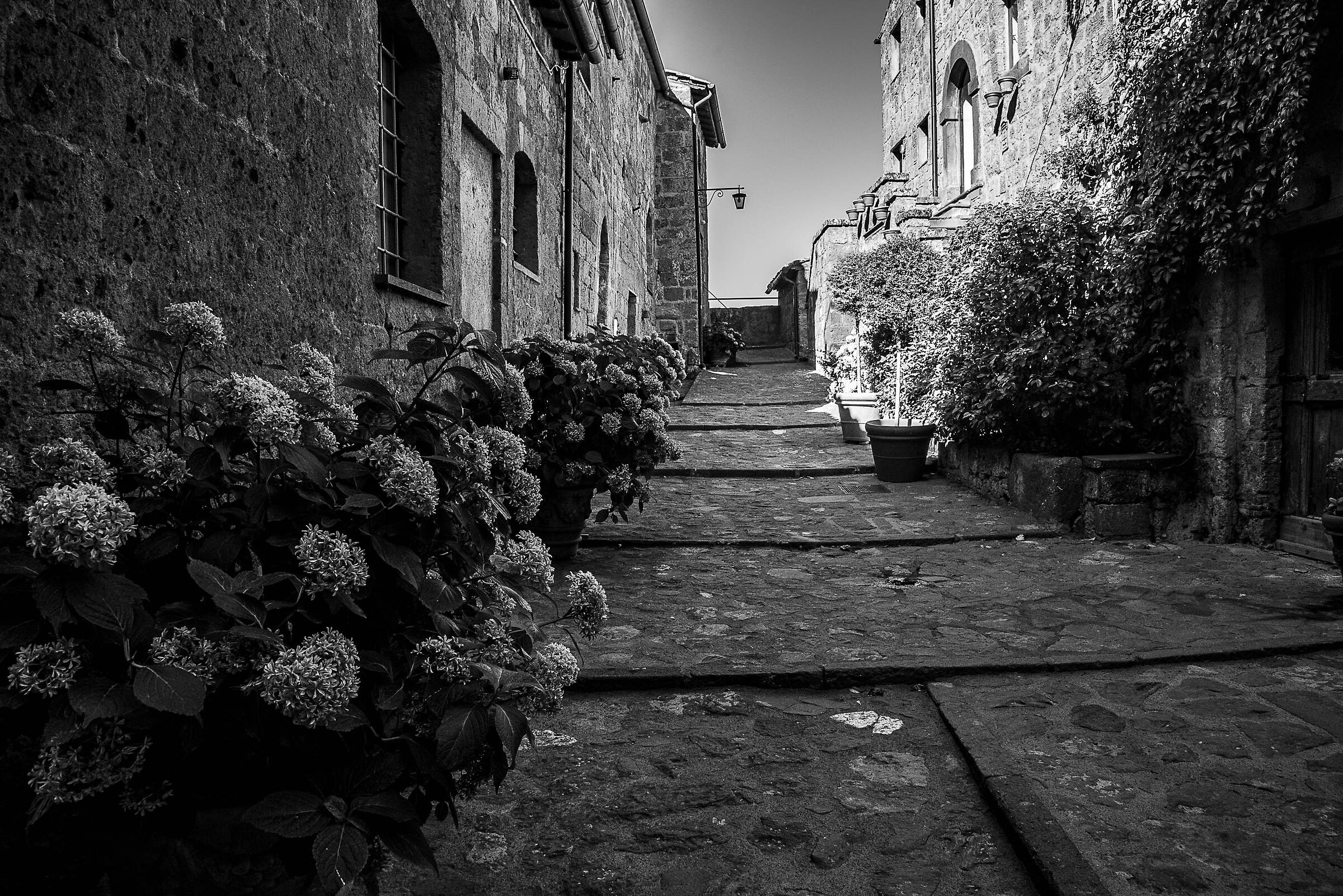 Civita di Bagnoregio la via fiorita