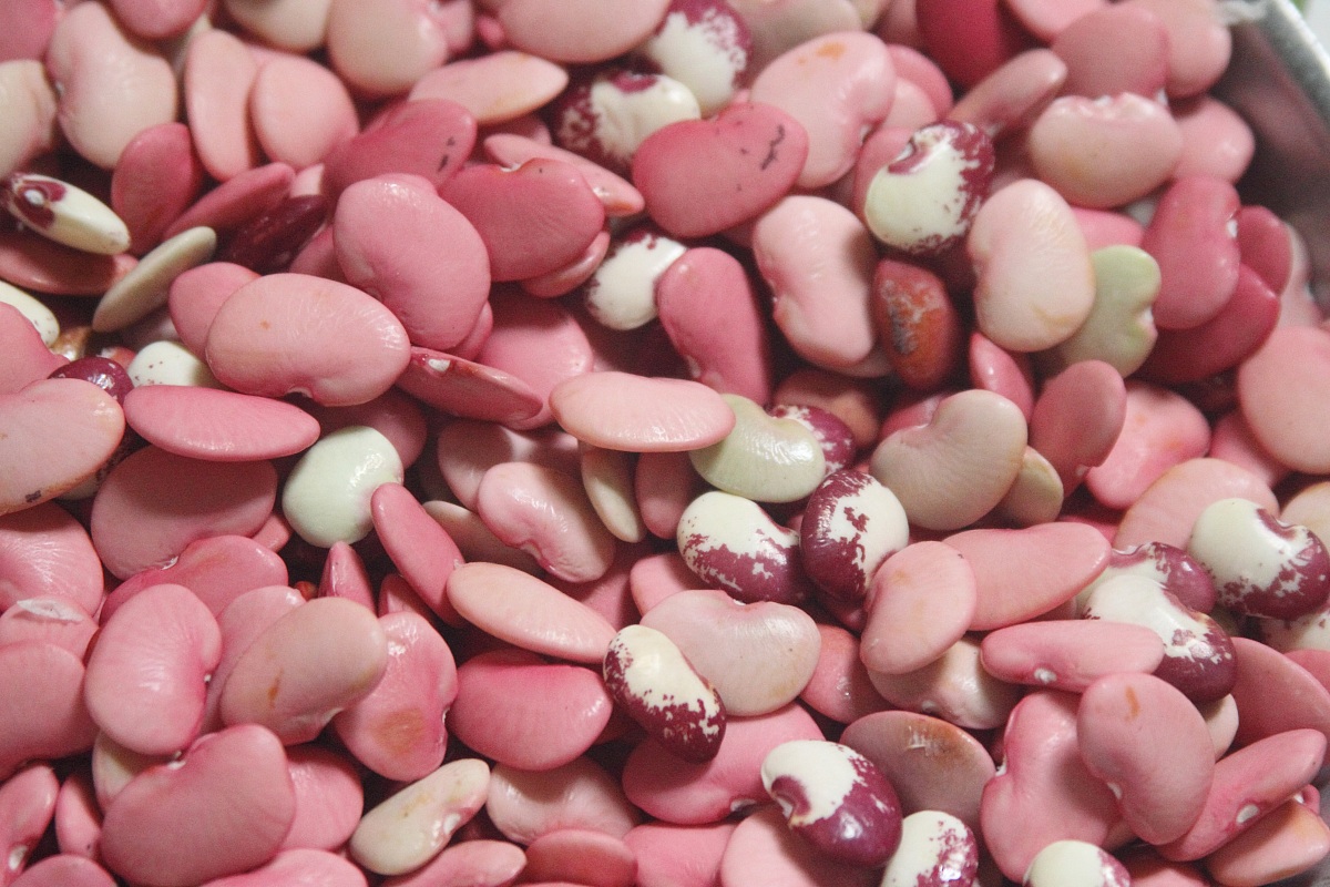 Pink beans