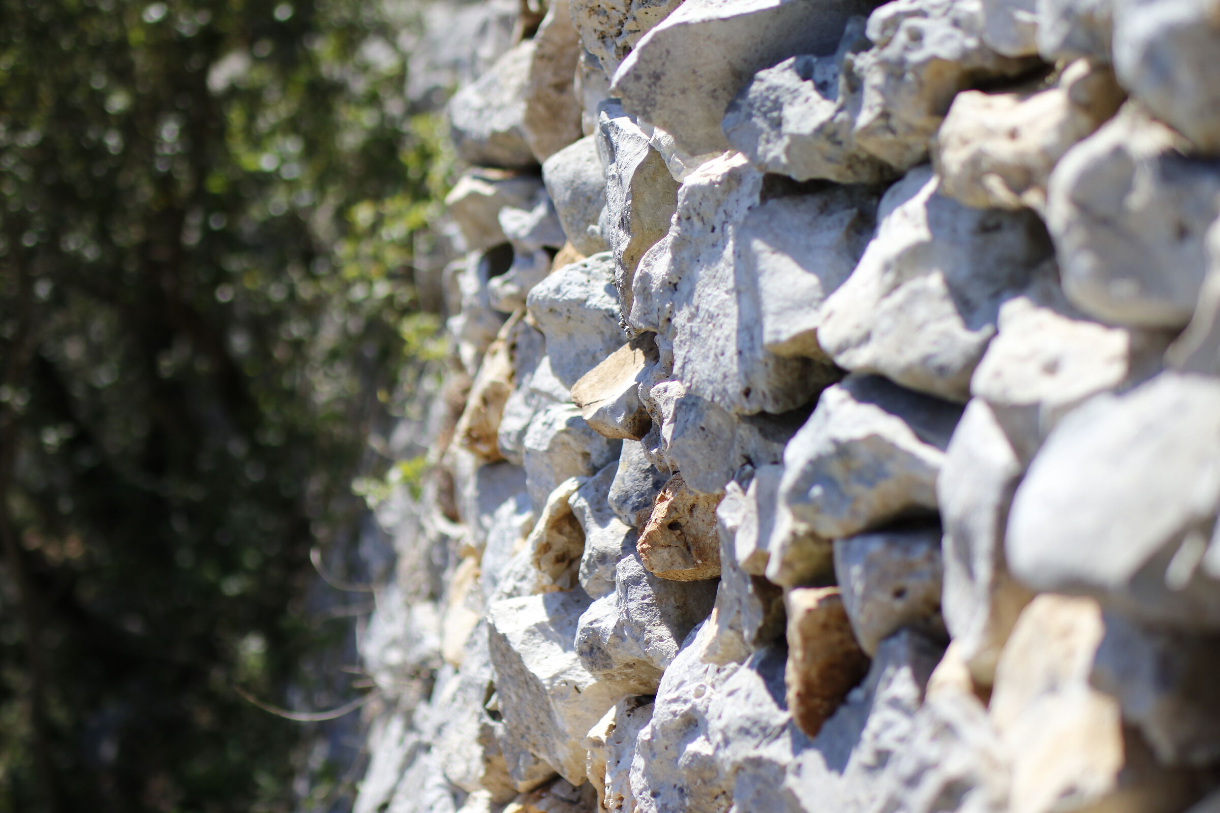 " F. 2 ", 1/ 8.0 0 0, ISO 200- Milvus 50, 1.4, 7D ...