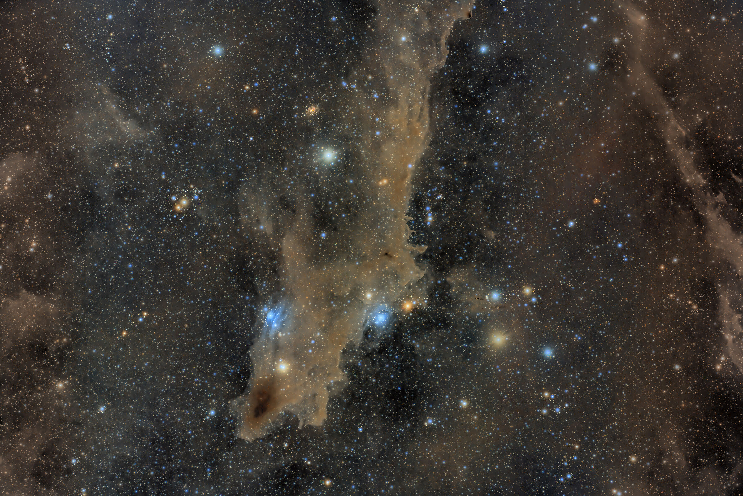 LDN 1235 Shark Nebula