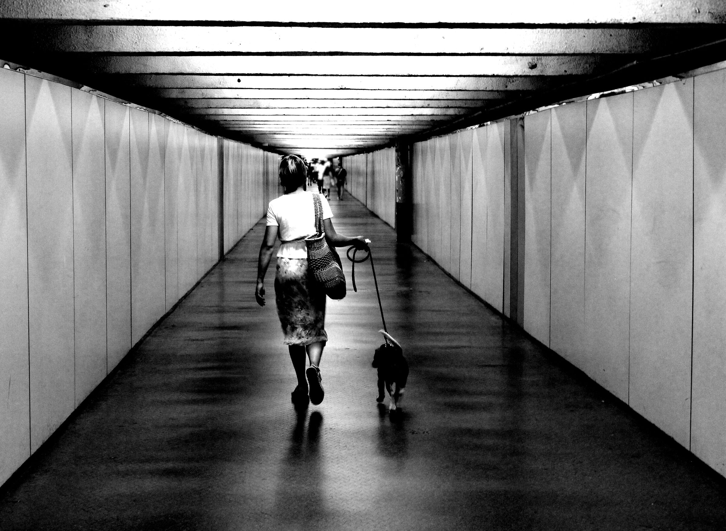 Tunnel