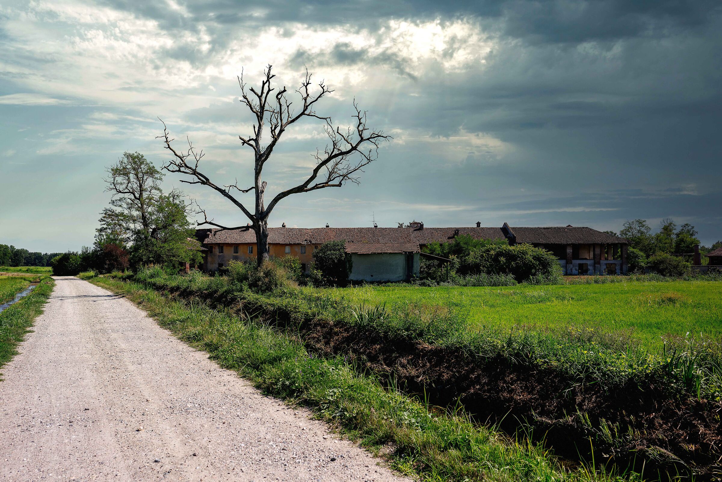 Ei was. As immovable