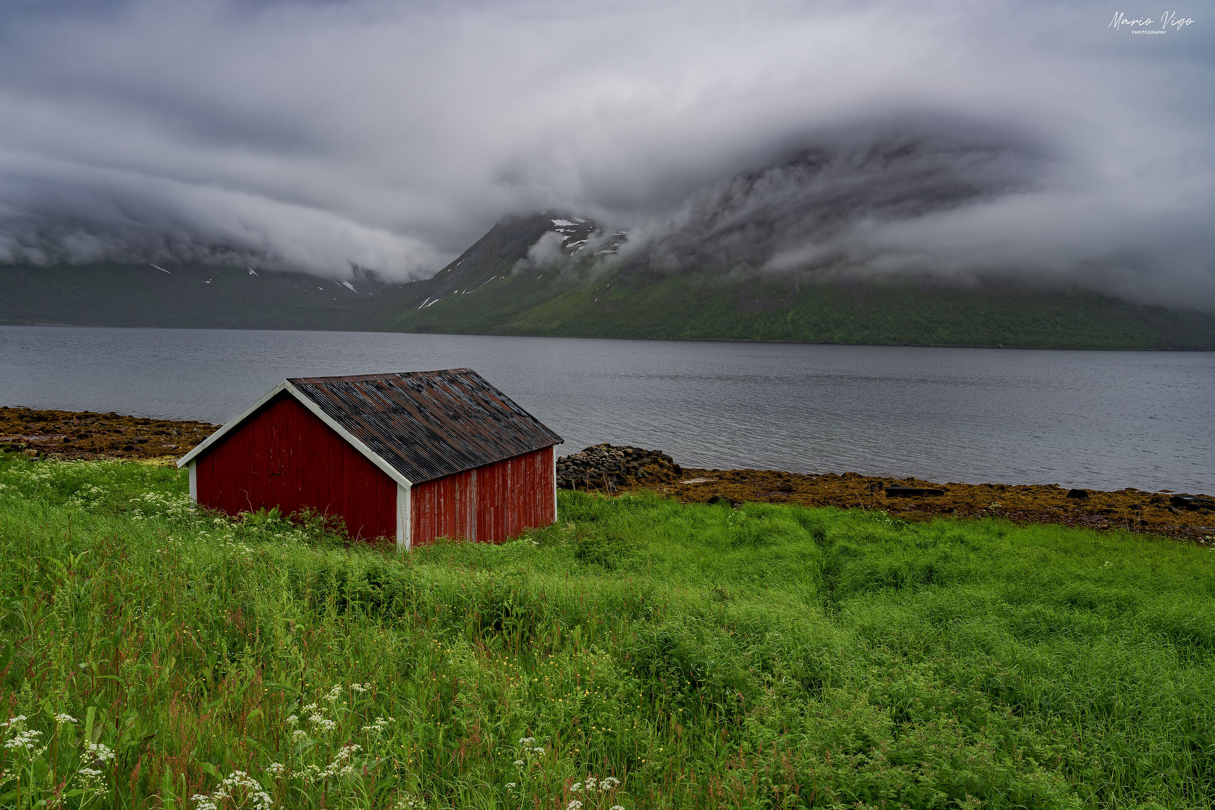 Steinfjord
