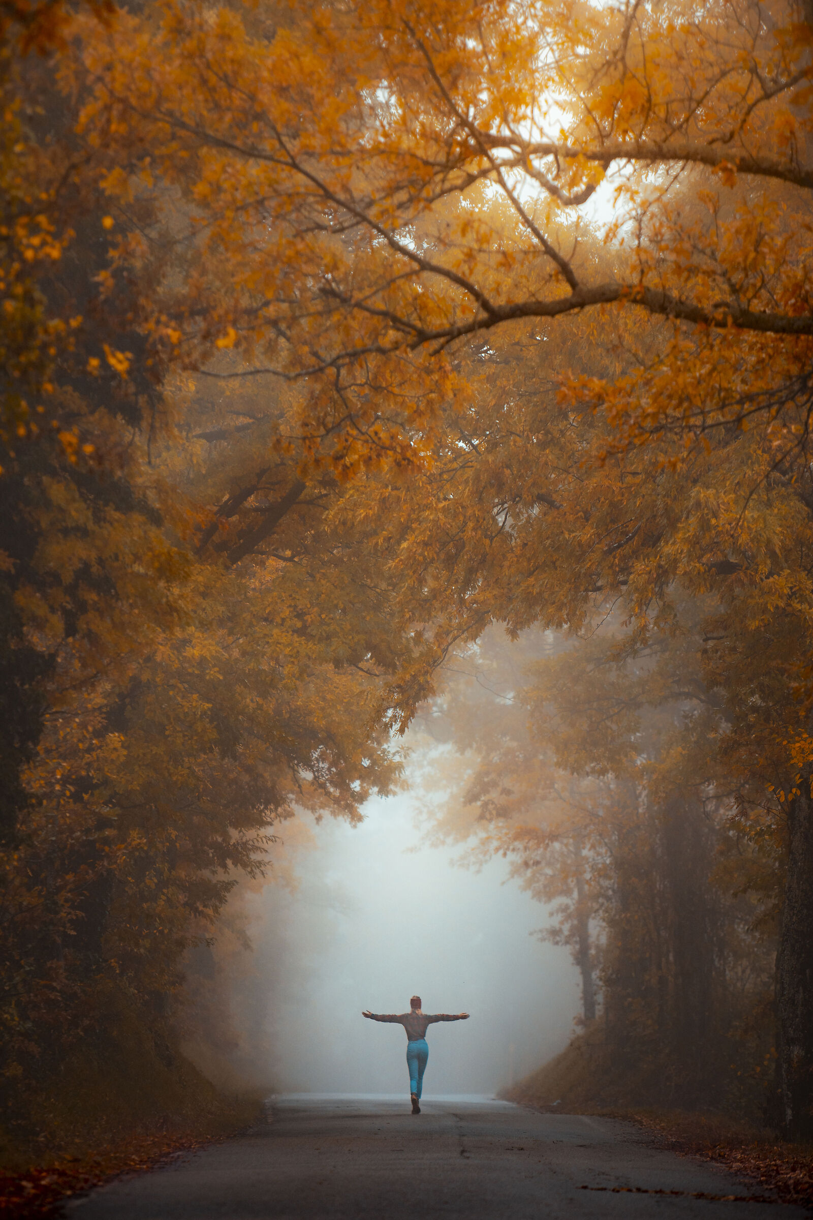 Autumn in the Apennines