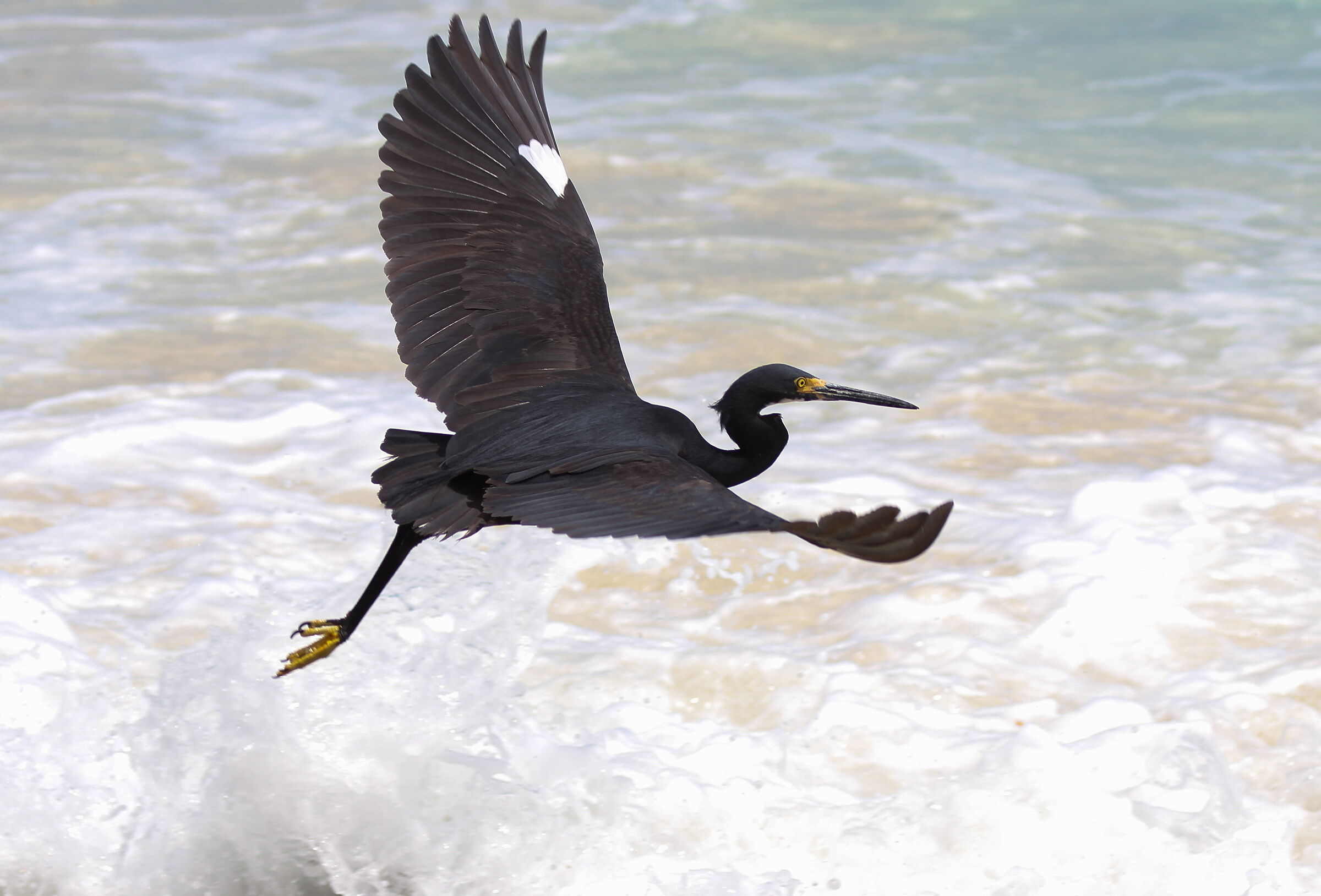 Volando sulle onde