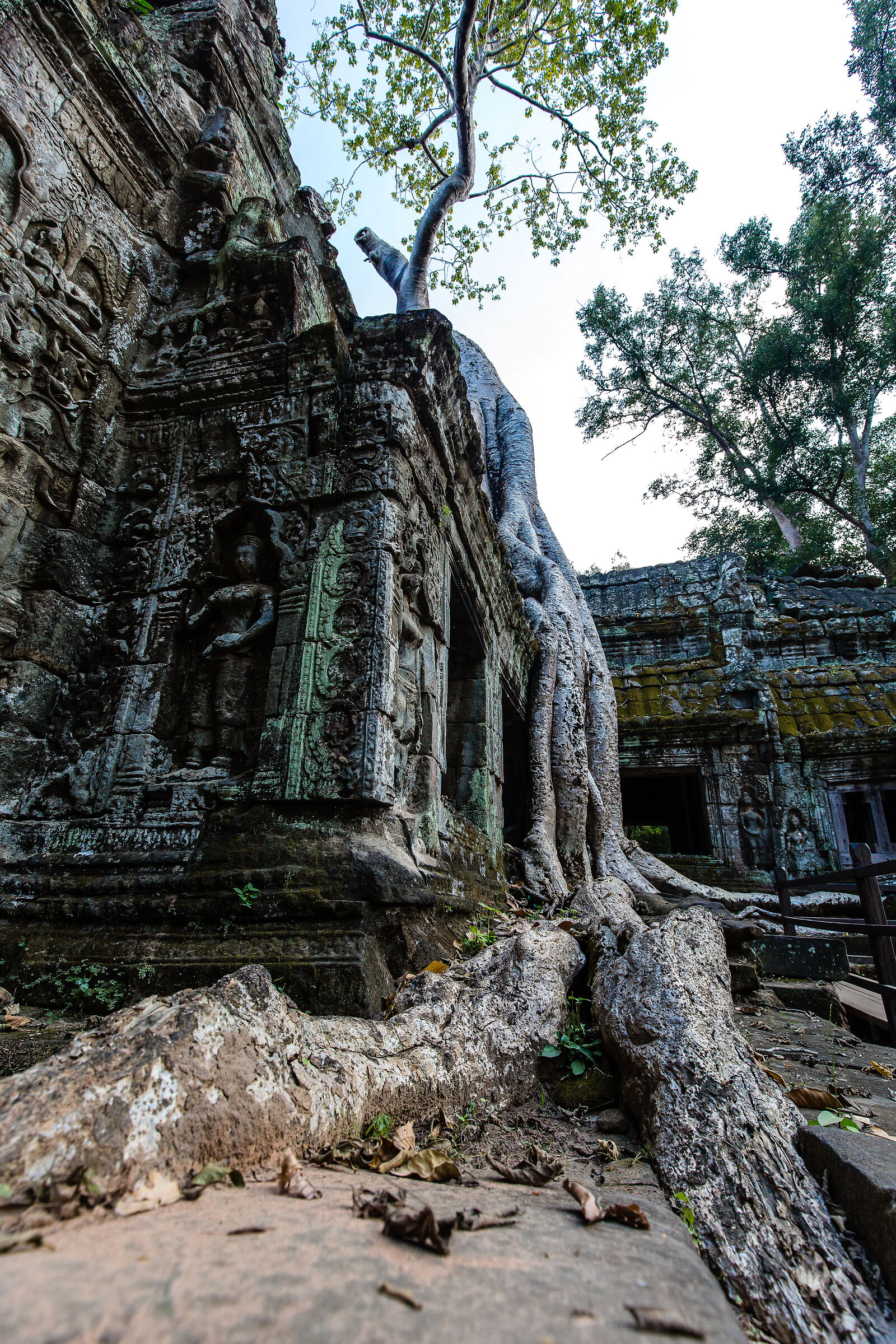 The temple in the forest
