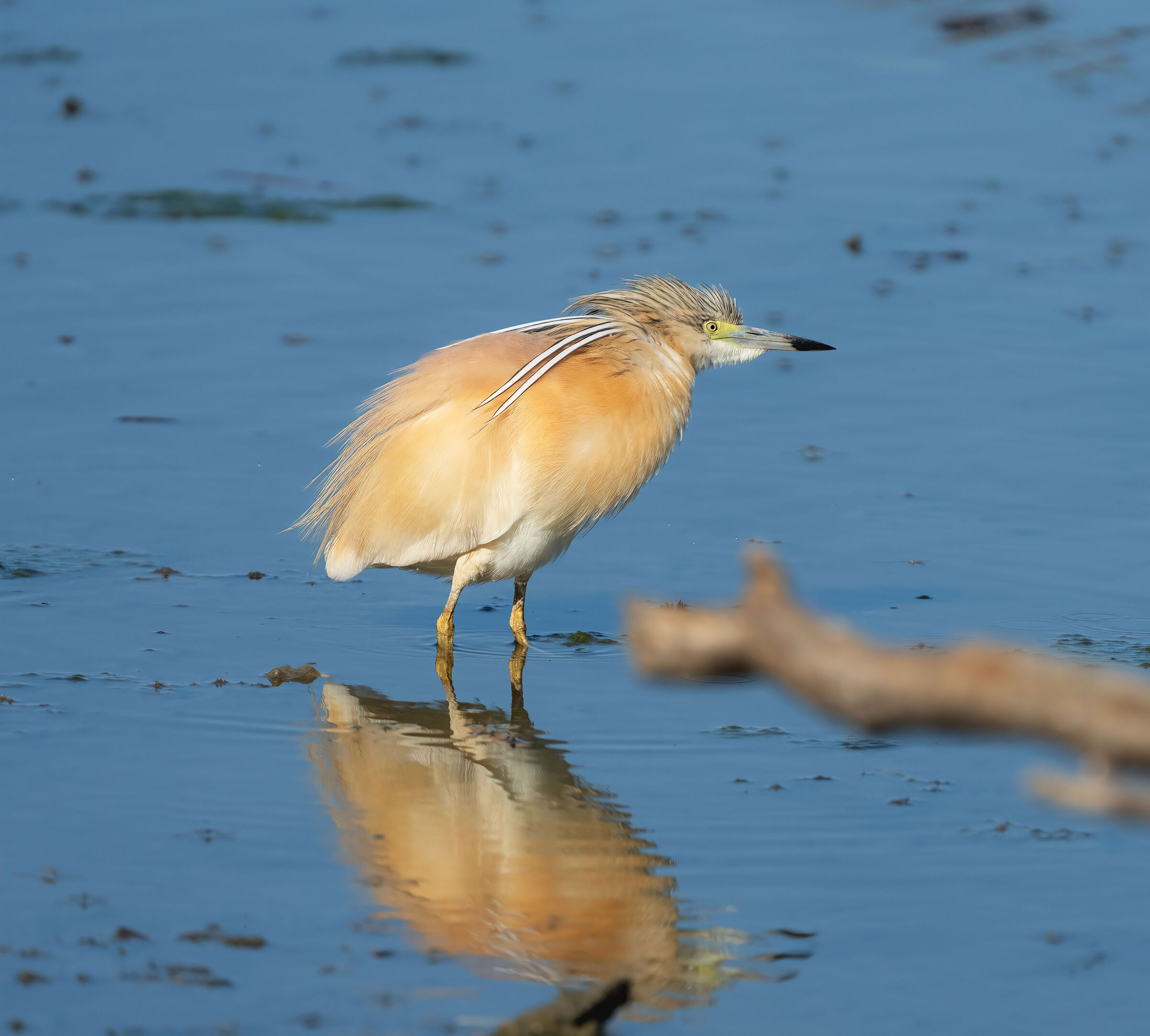 Mi è passato un brivido