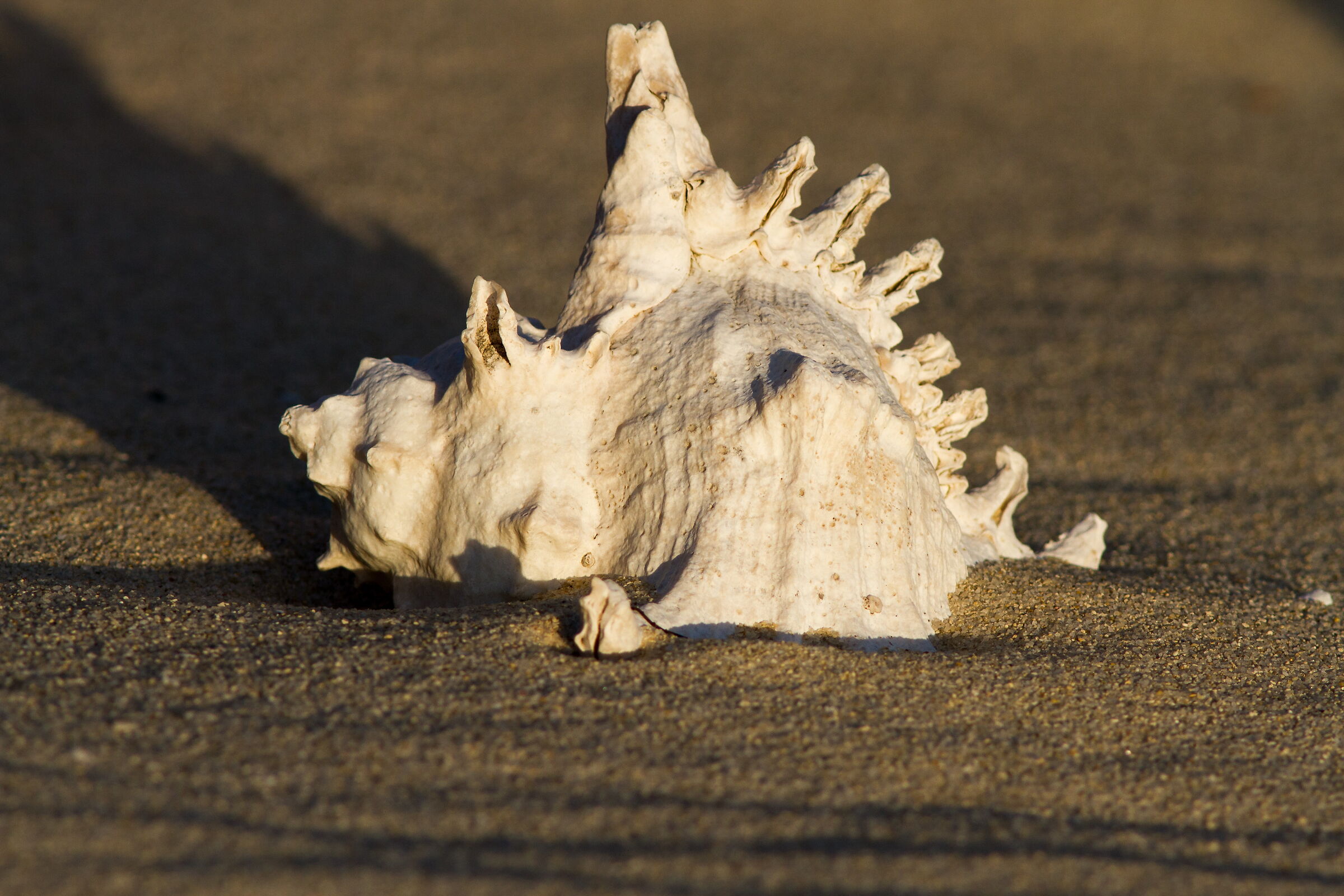On the sand