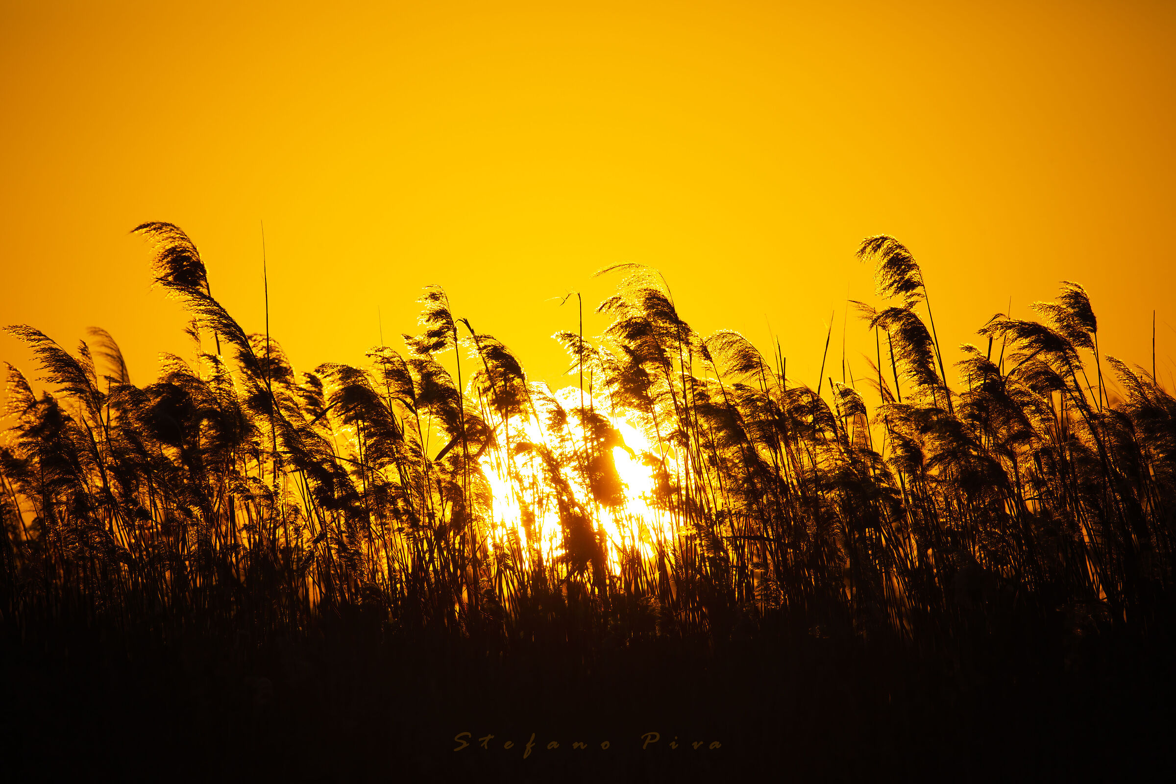 Hot sunset