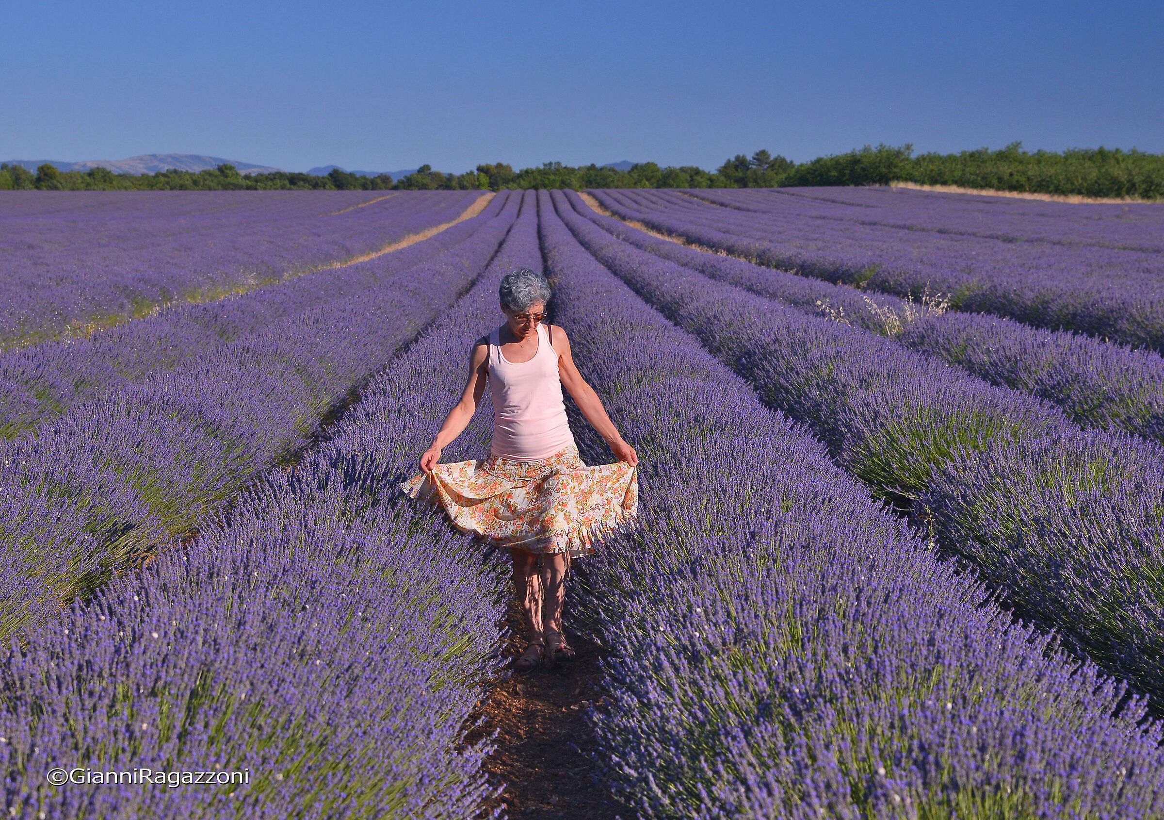 Walking among the lavender