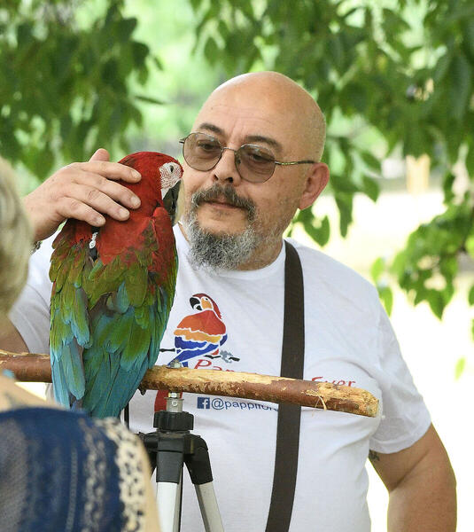 Foto