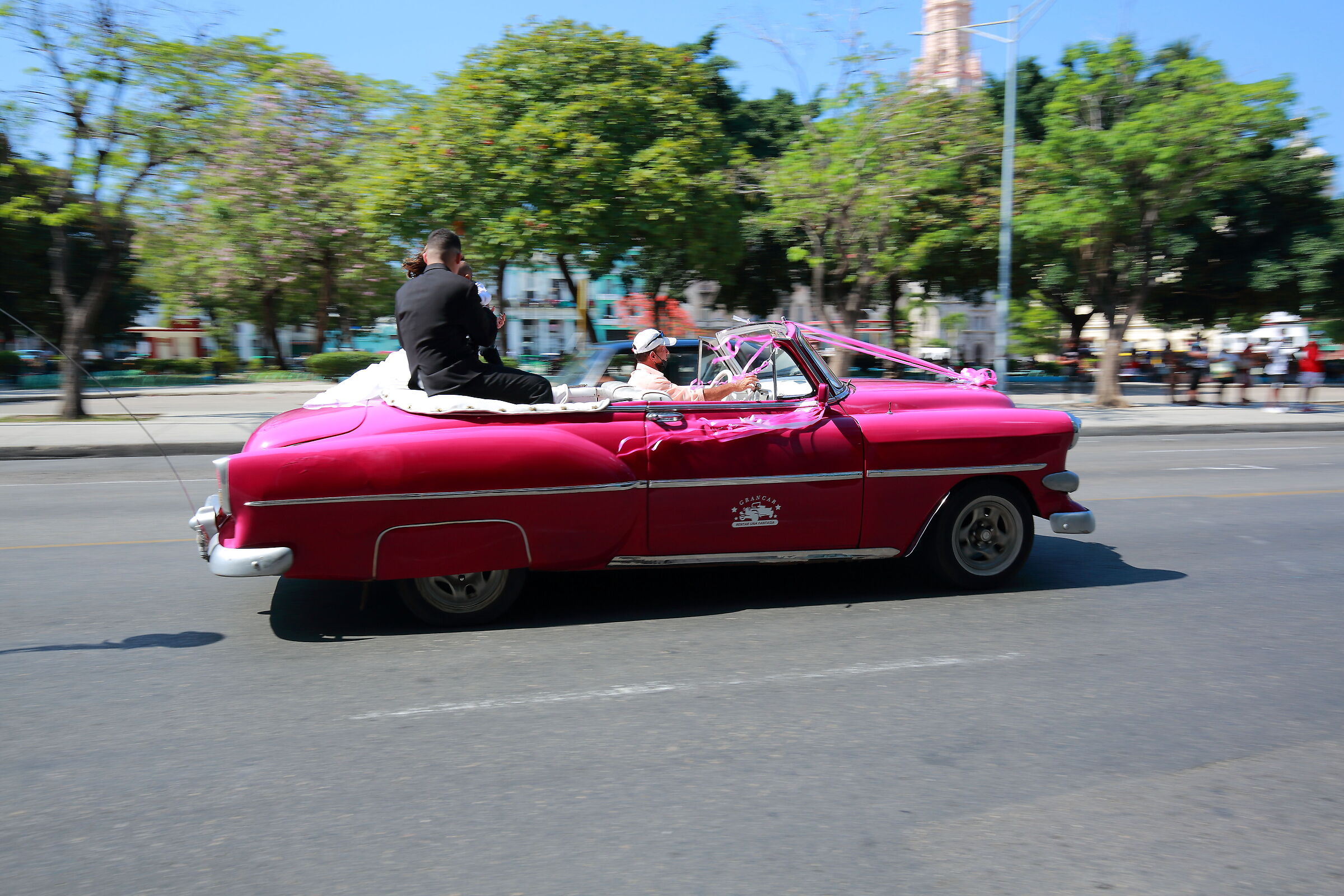Hoy casada en La Habana