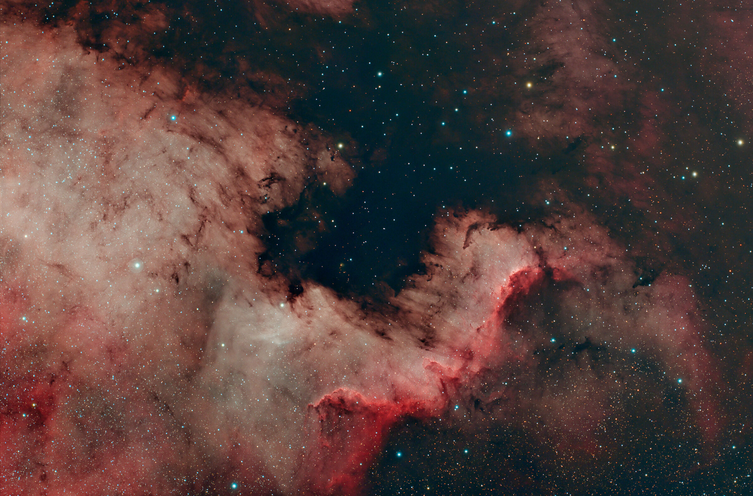 Cygnus Wall