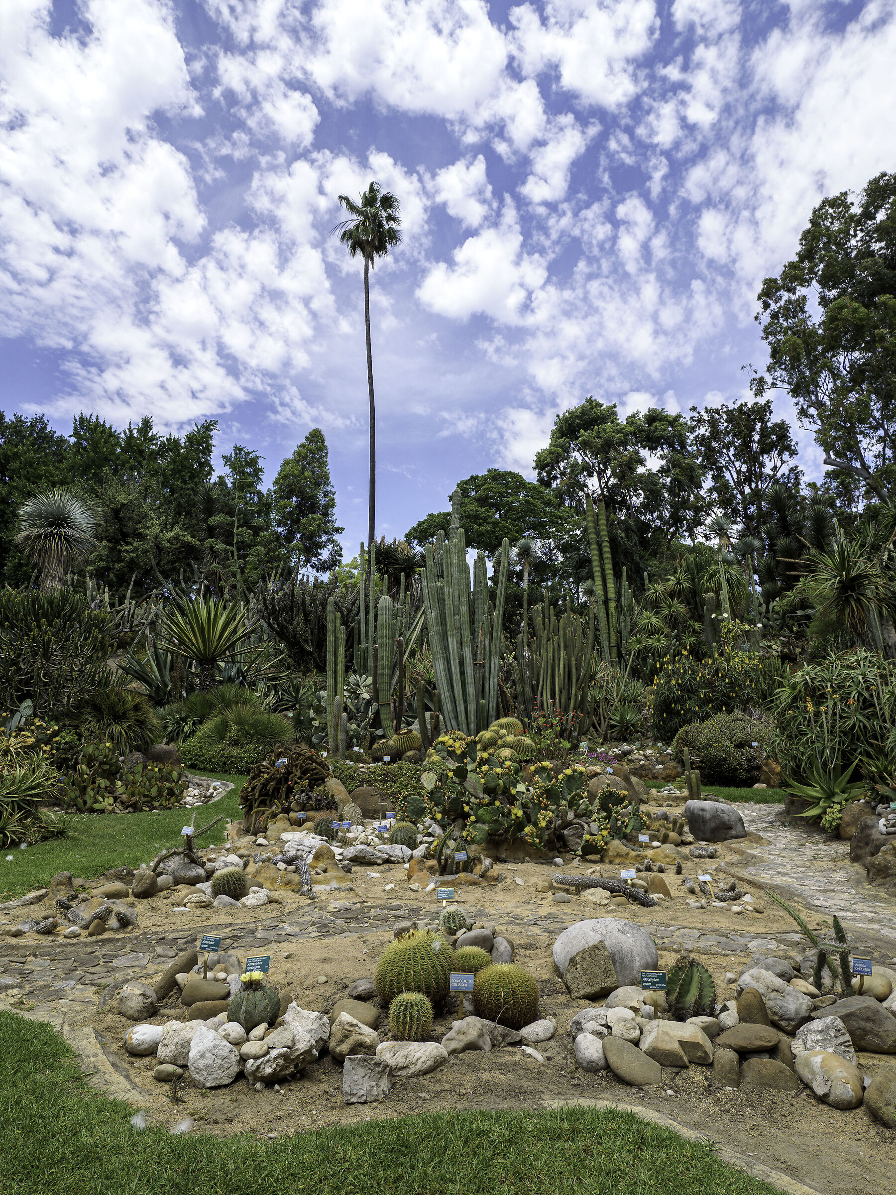 Botanical Garden Naples-Species arid environment Italian