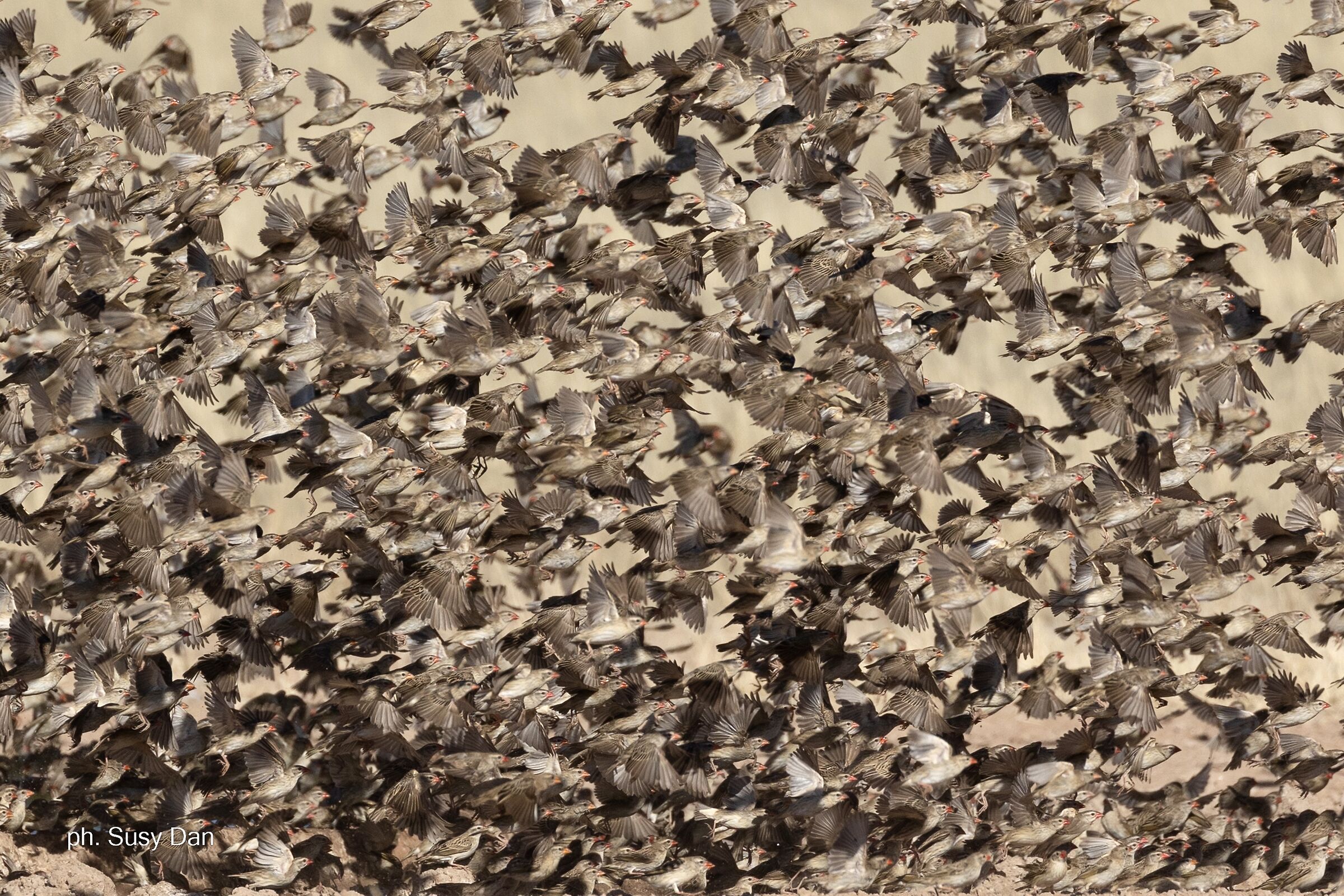 All together passionately