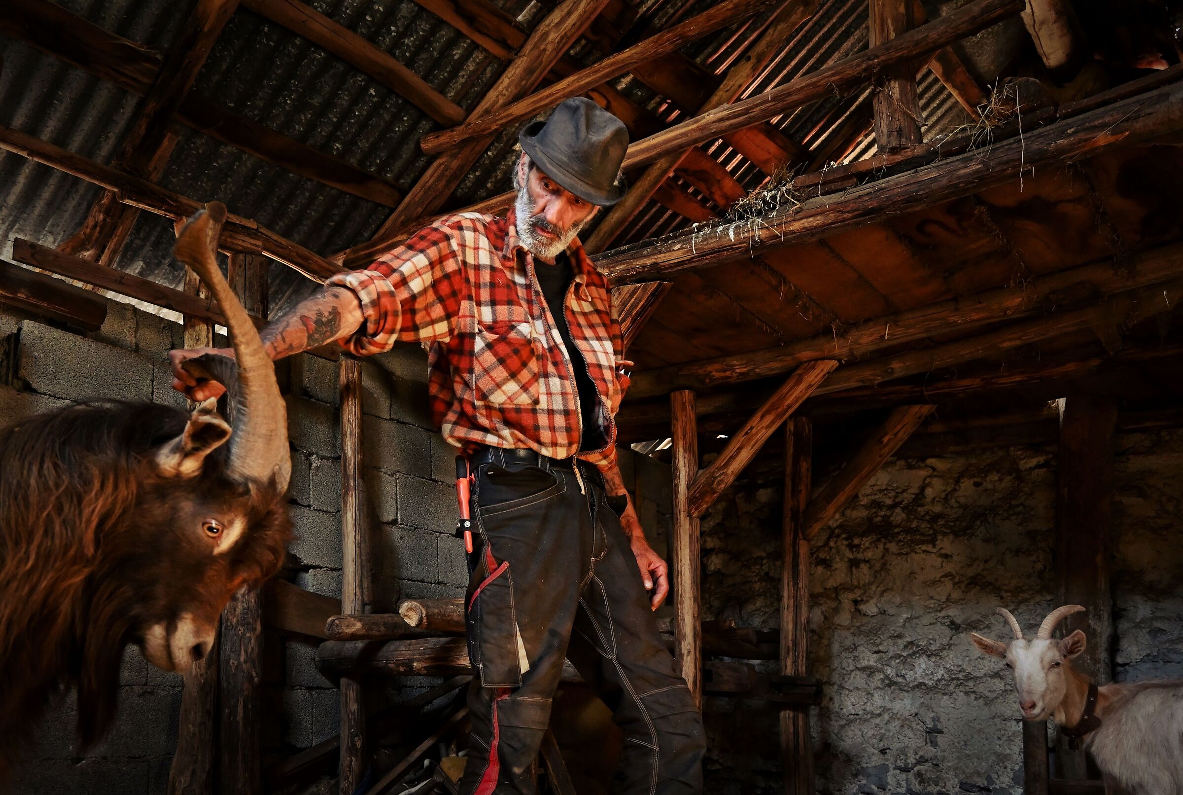 Pay attention to the Horns