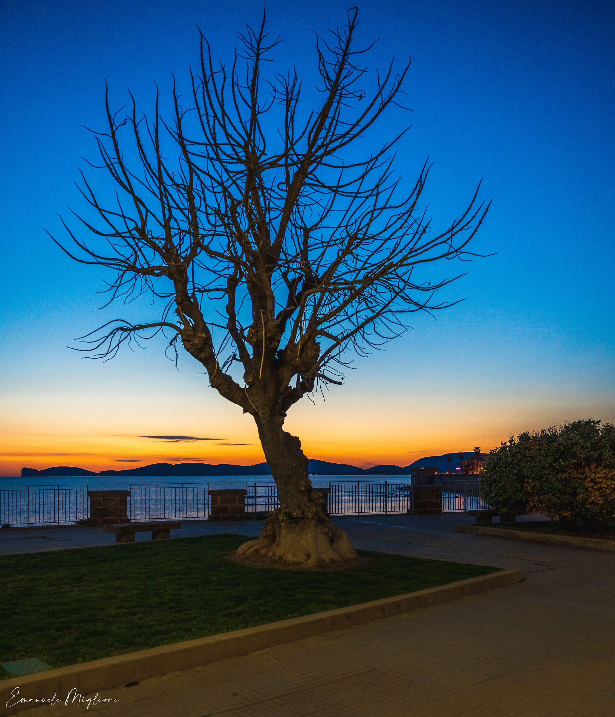 Tramonto lungomare Alghero (ss)