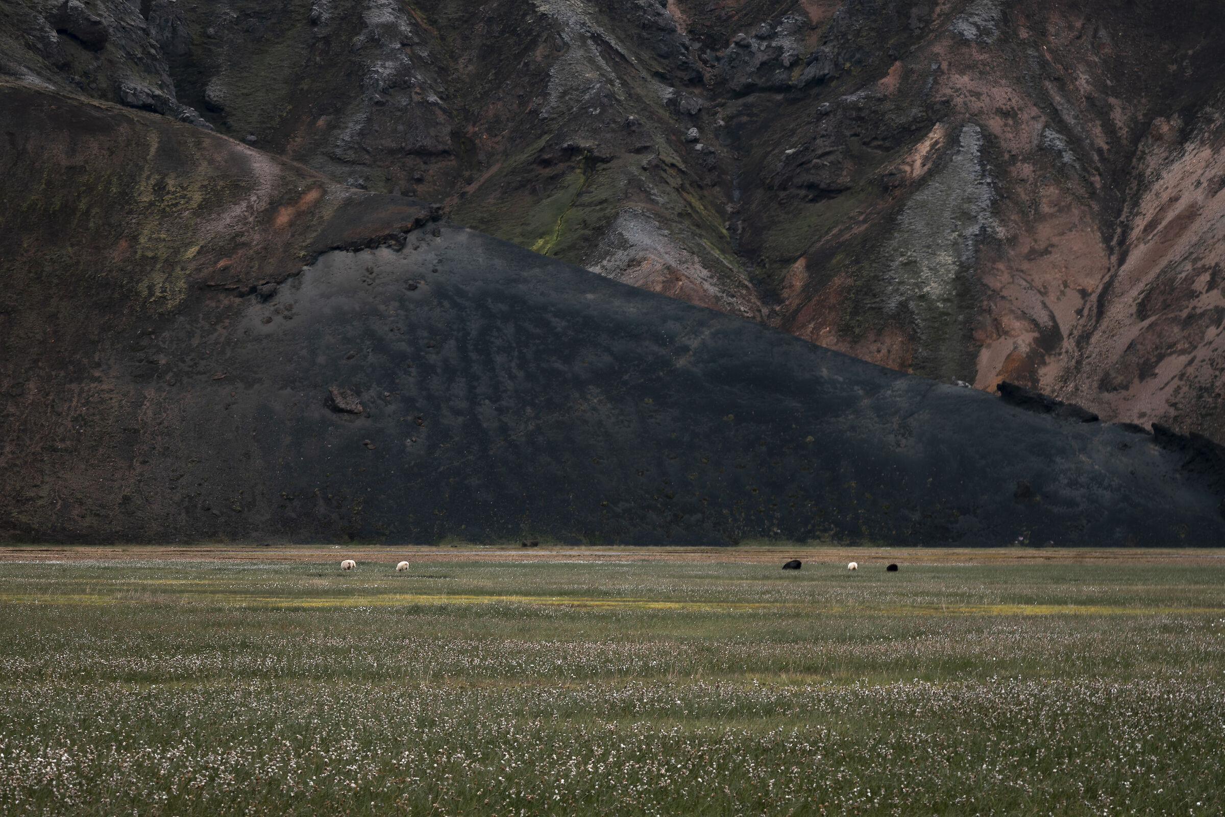 Paesaggio nei dintorni di Landmannalaugar