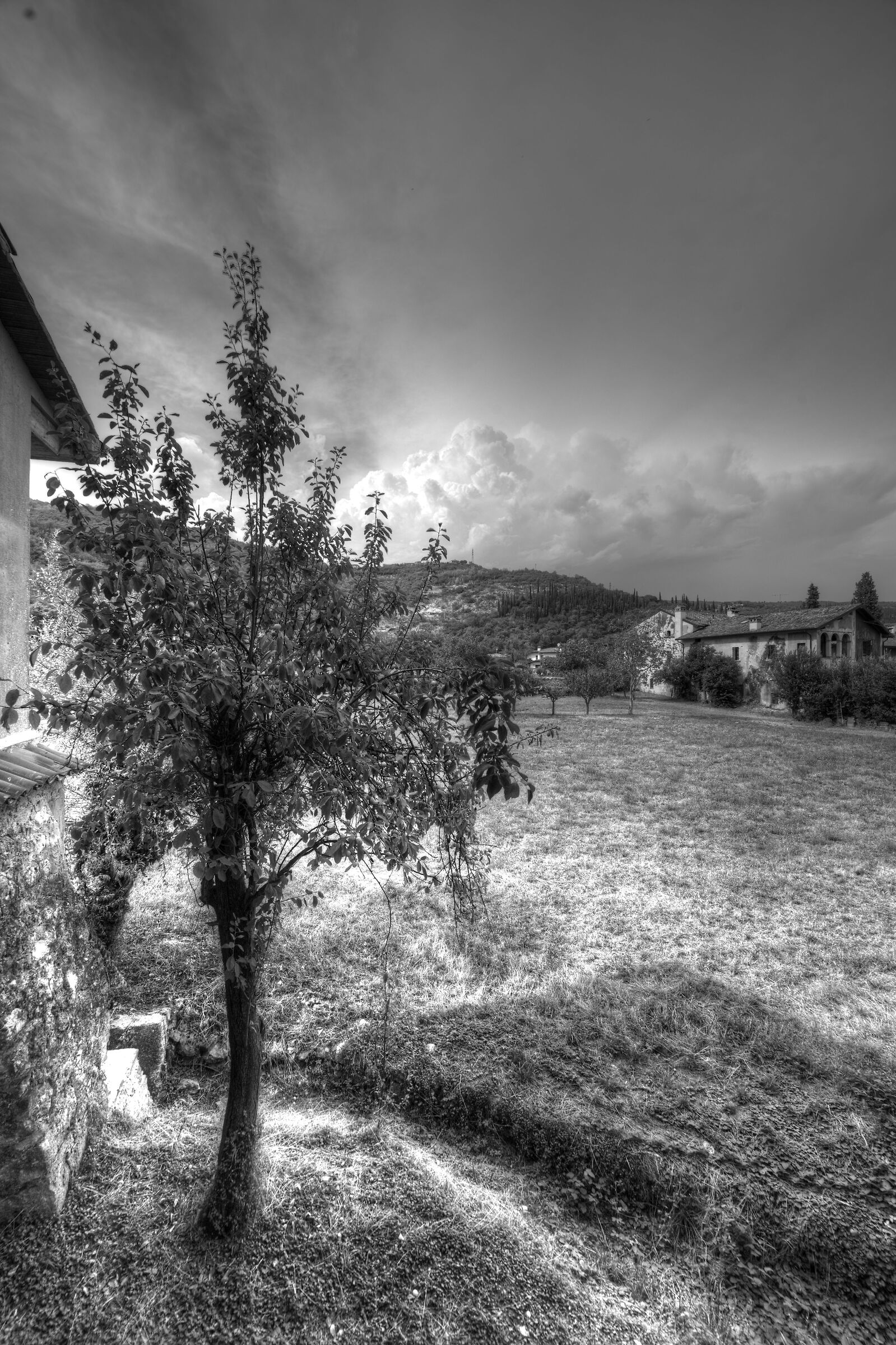 Un classico B&W dietro casa